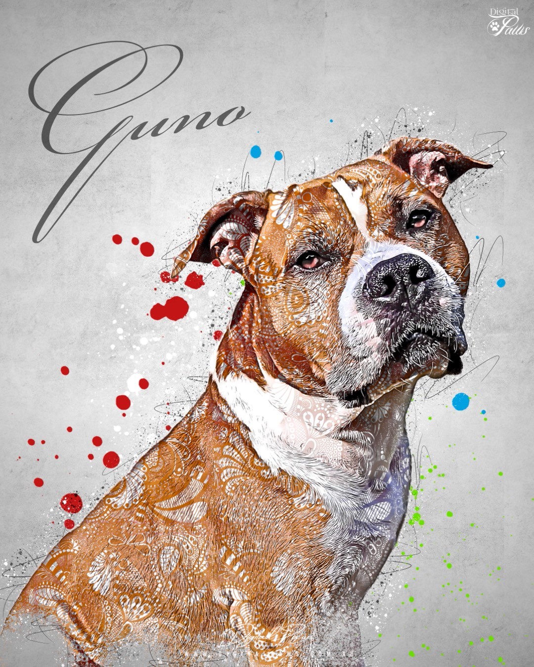 @amstaff-guno-ostra-toro