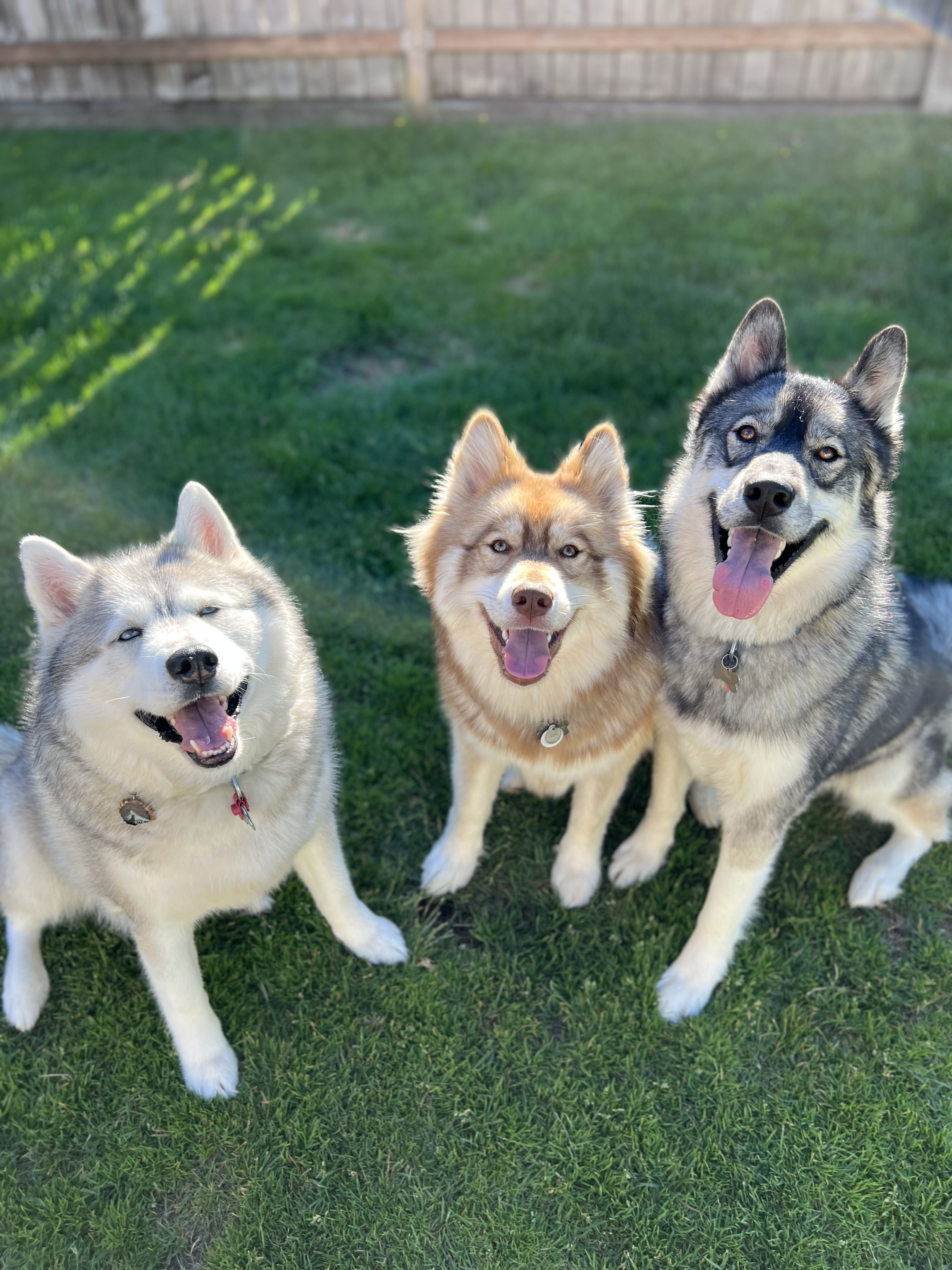 @tikannikitantehya3sibes