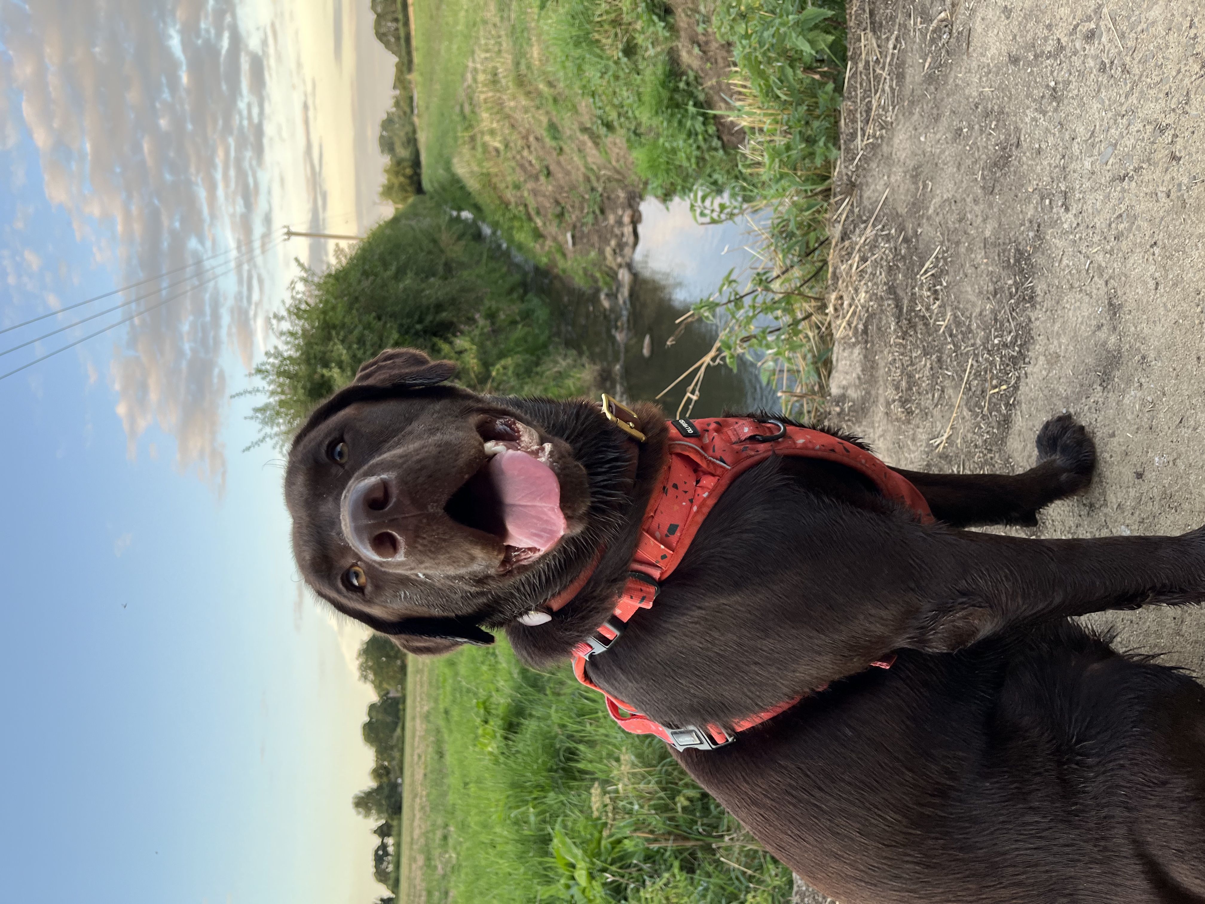 @poppyandlilahsadventures