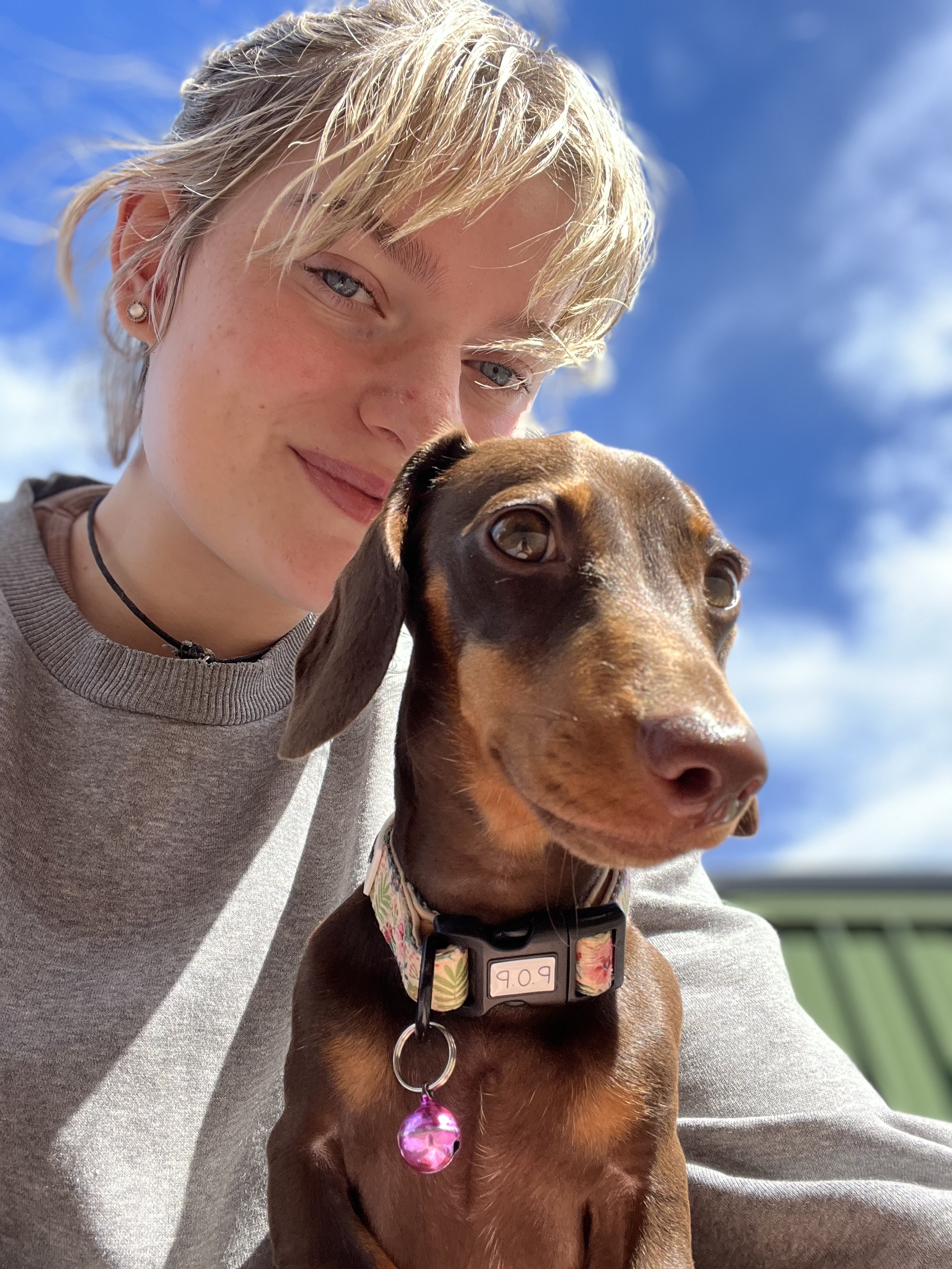 @nalatherabbitdachshund