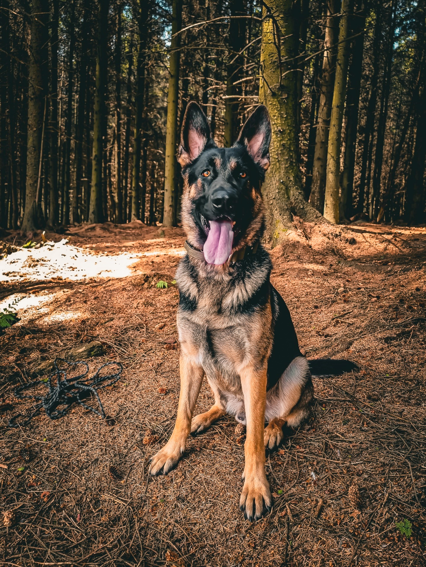 @roloandfreyasadventures