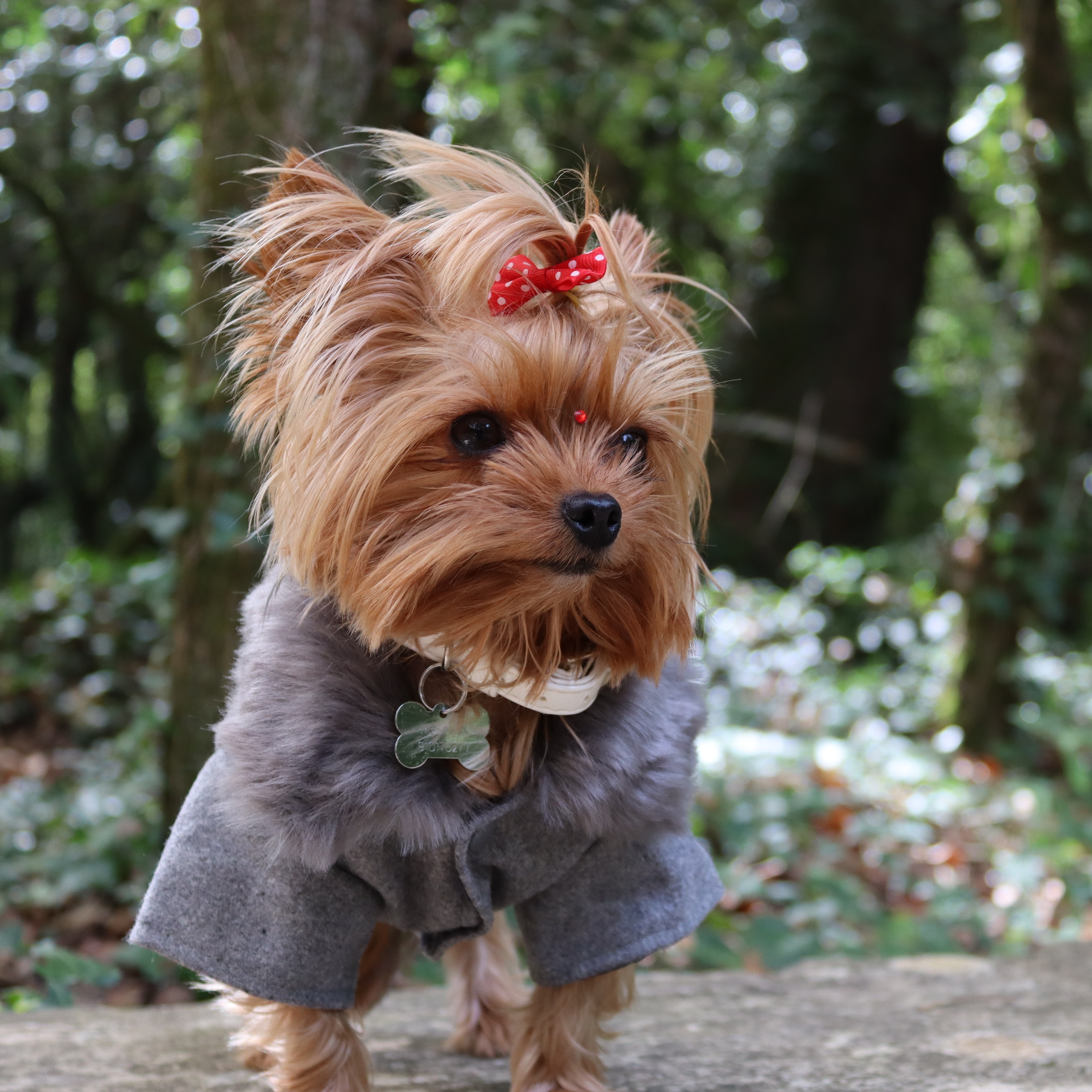 @rosinhaafazercoisas