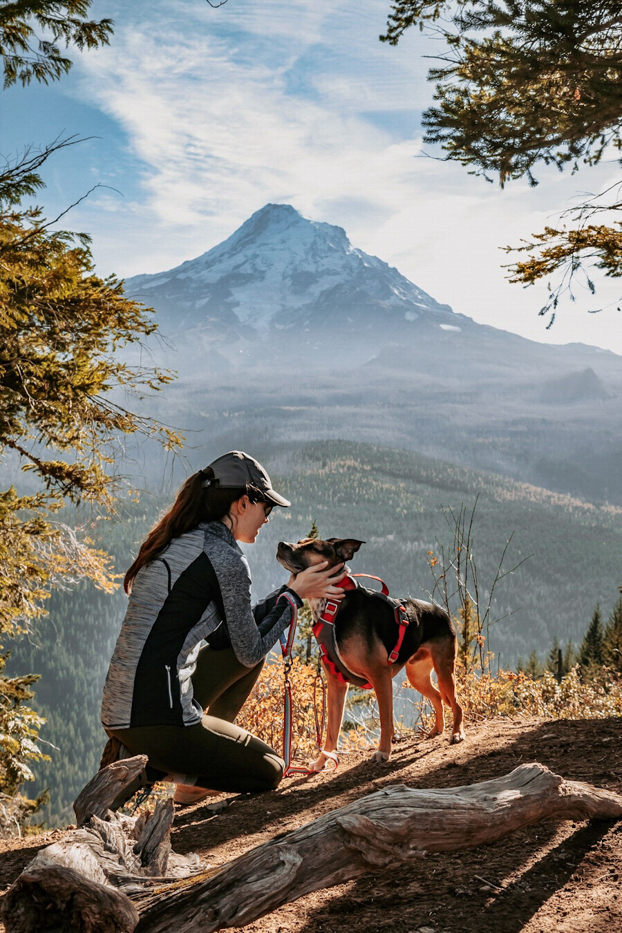 @bentley-the-cattledogmix