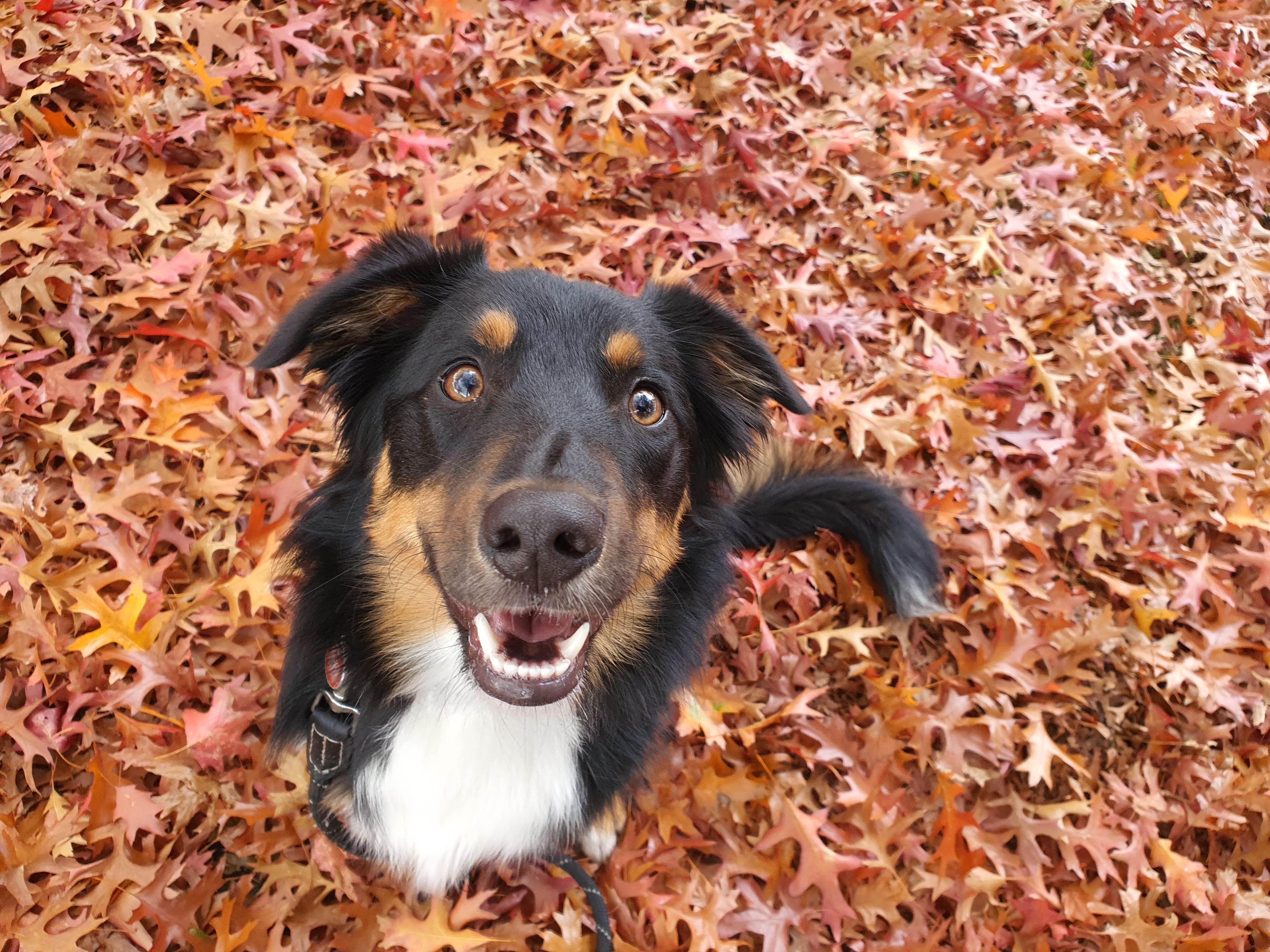 @theadventures0floki