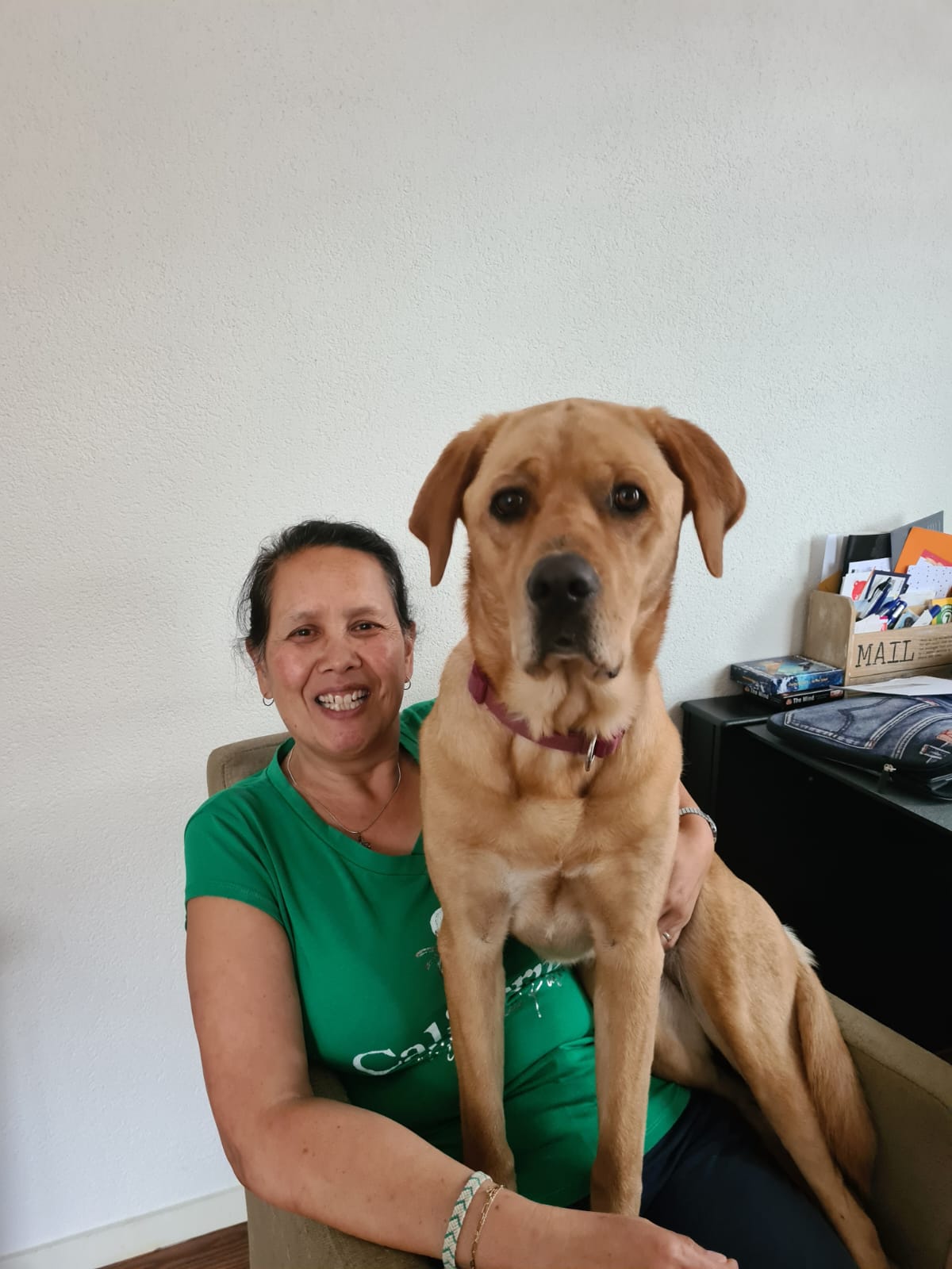 @suus-delabrador2019