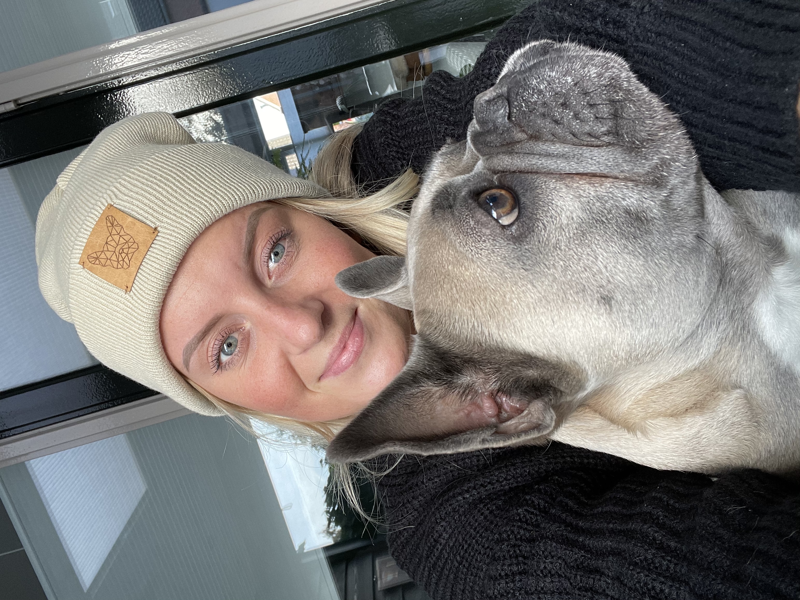 @guapa-thefrenchbulldog