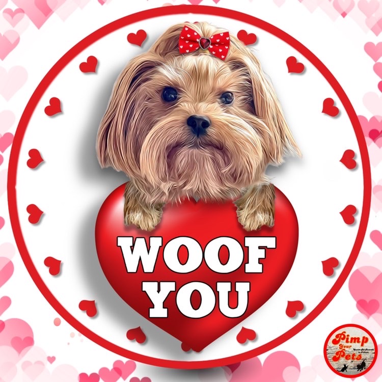 @harley-yorkie-quinn