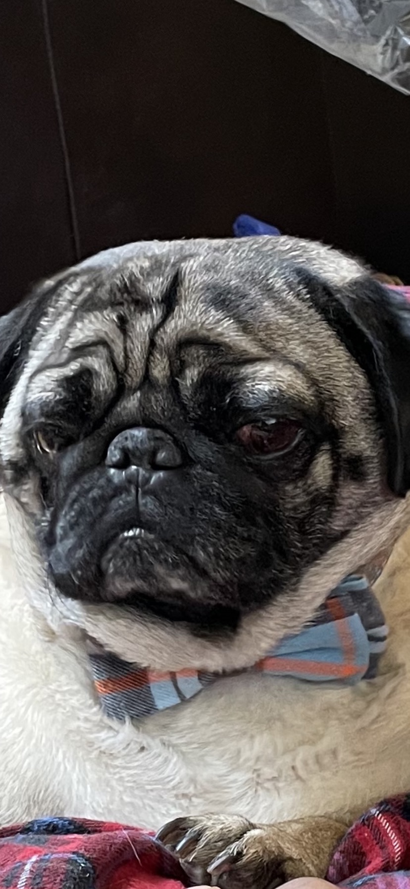 @jefferypumpkineater