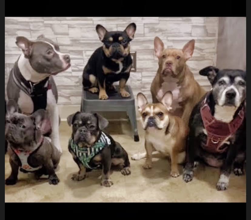 @bennyblanco-andfriends