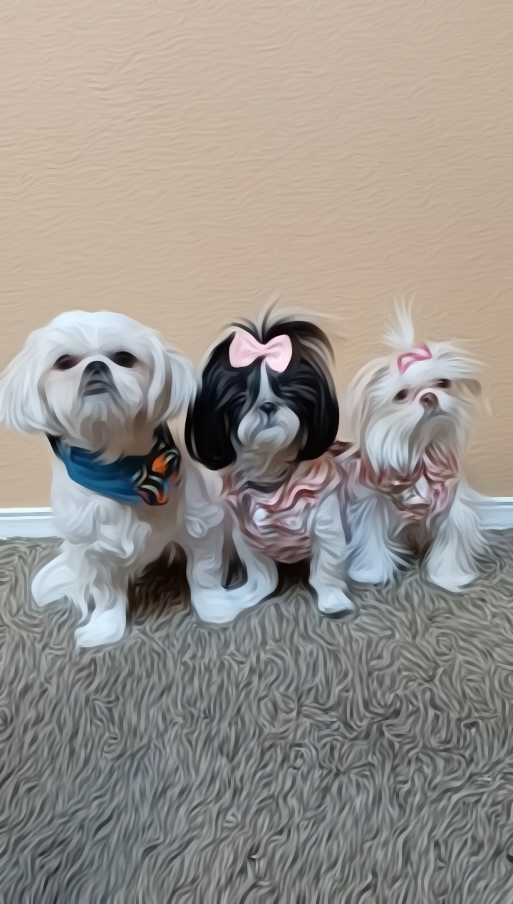 @auroraandnovalilprincesses