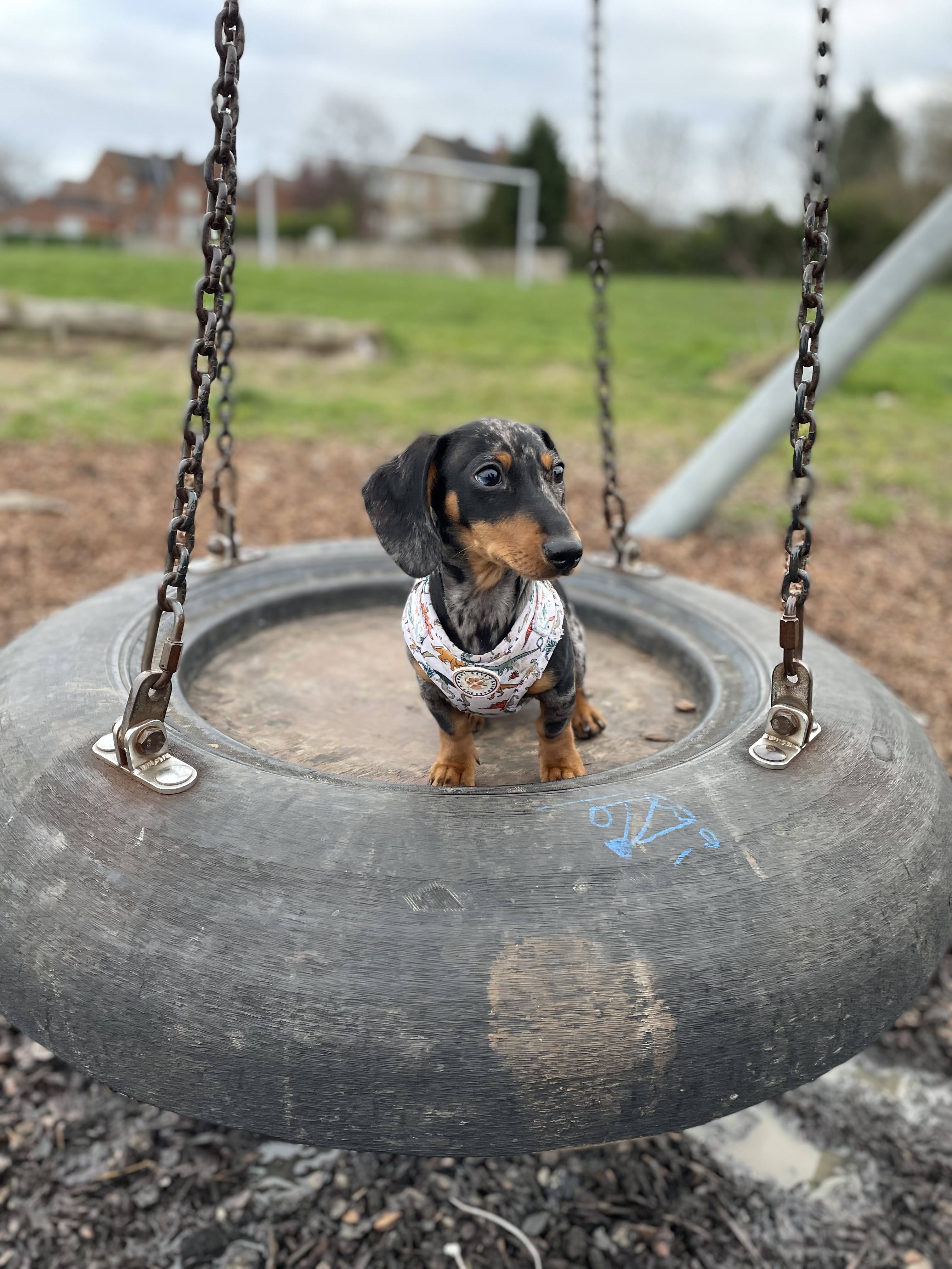 @adventures-with-mrtaco