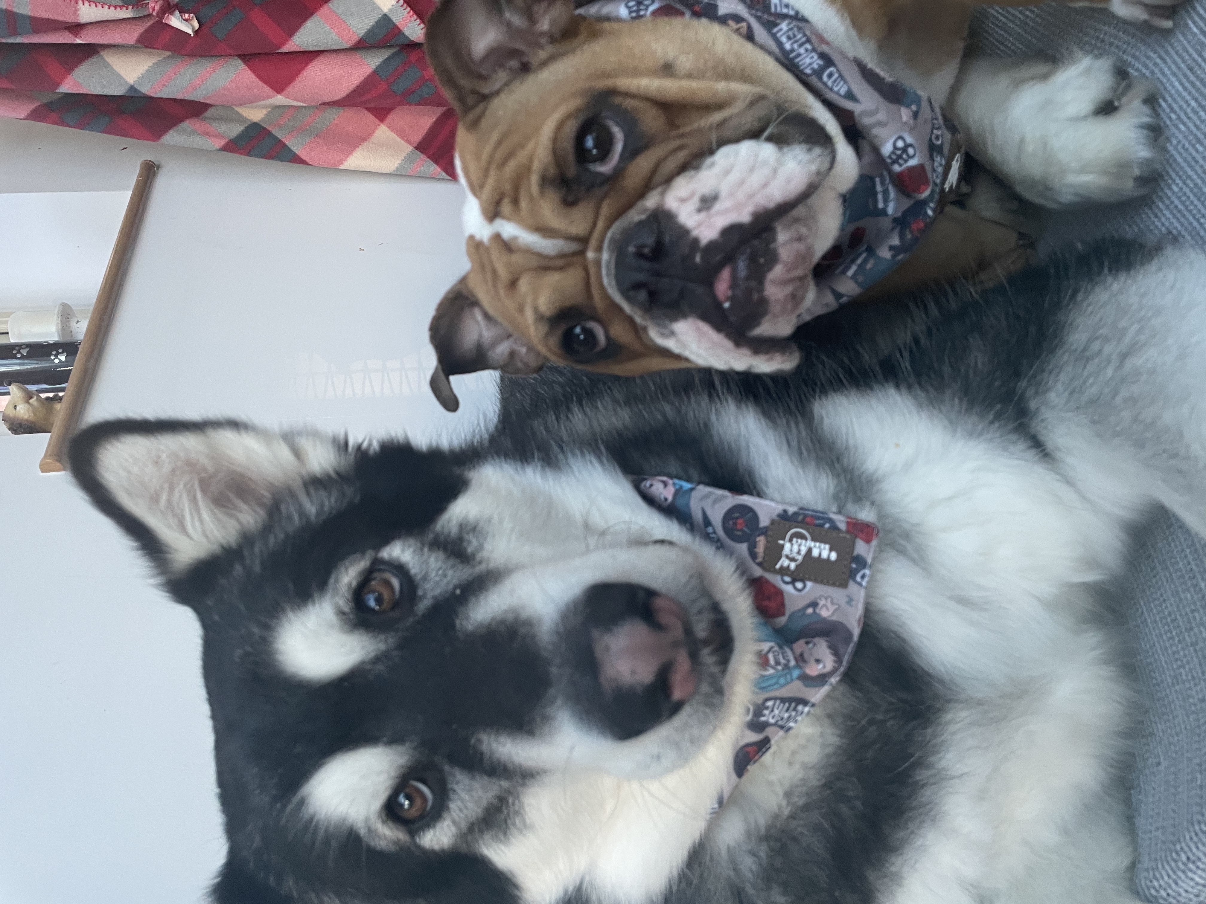 @the-journey-of-hunter-and-ivy