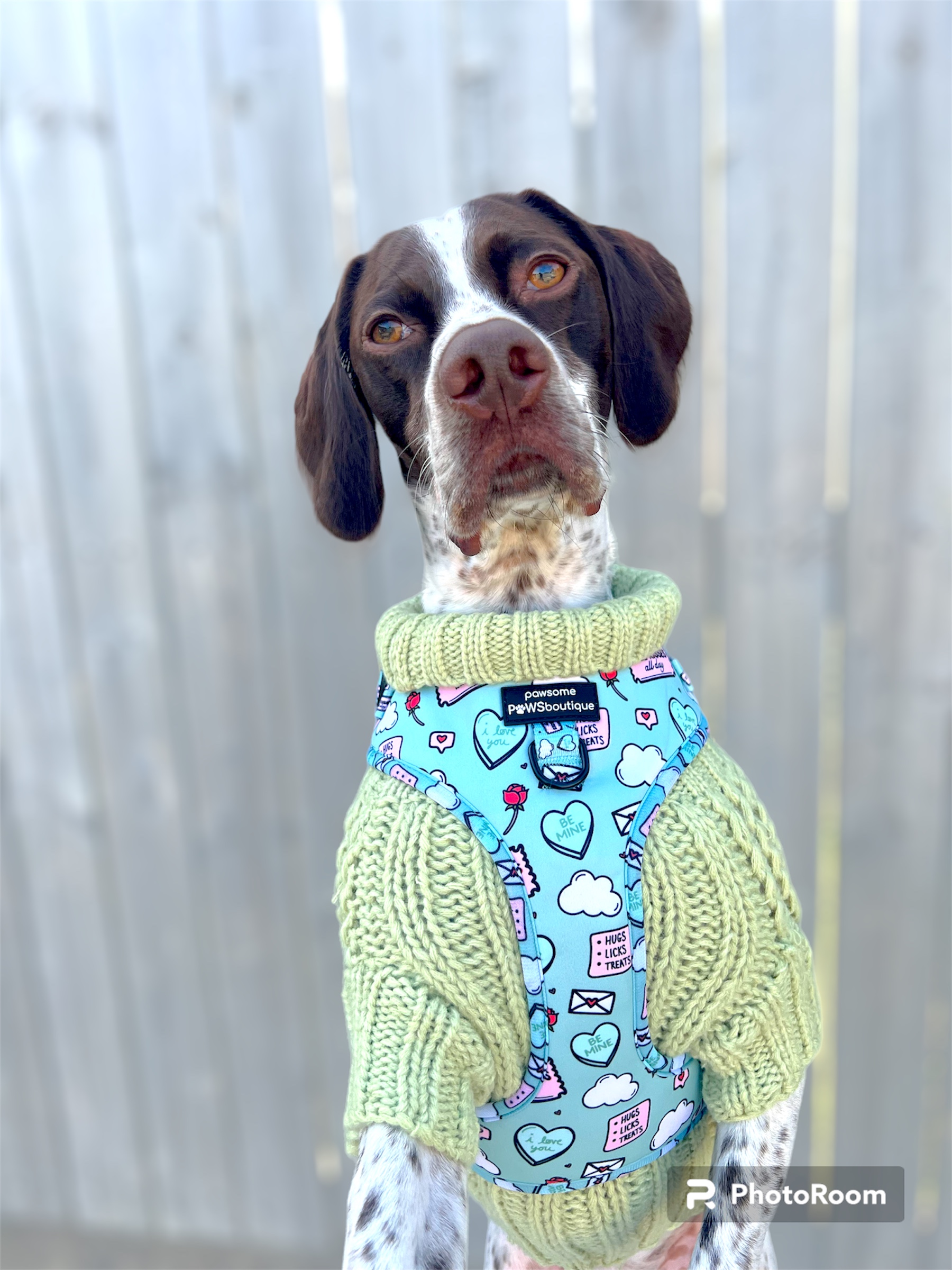 @phoebe-the-sprointer