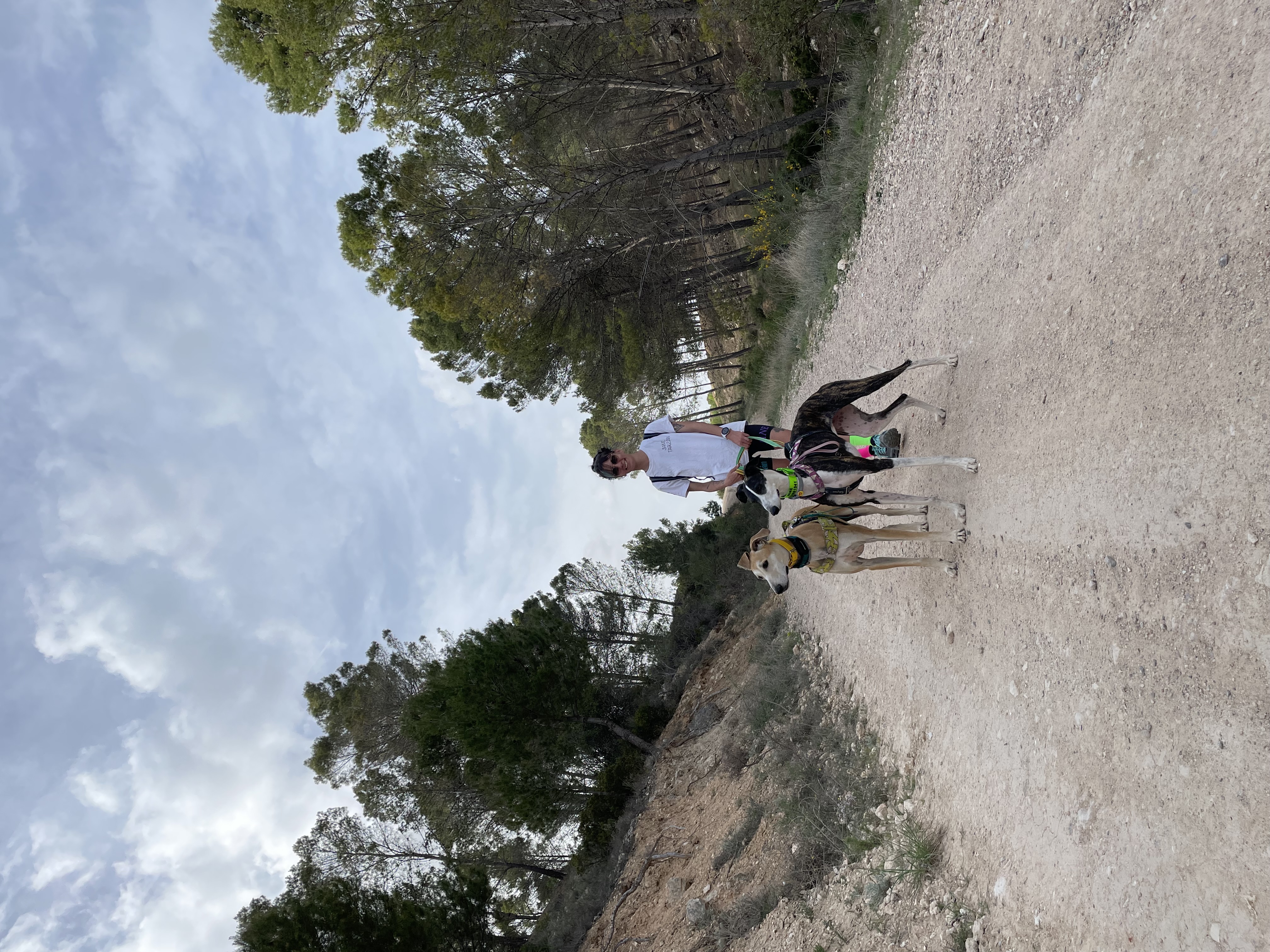 @greyhoundtarzanandjane