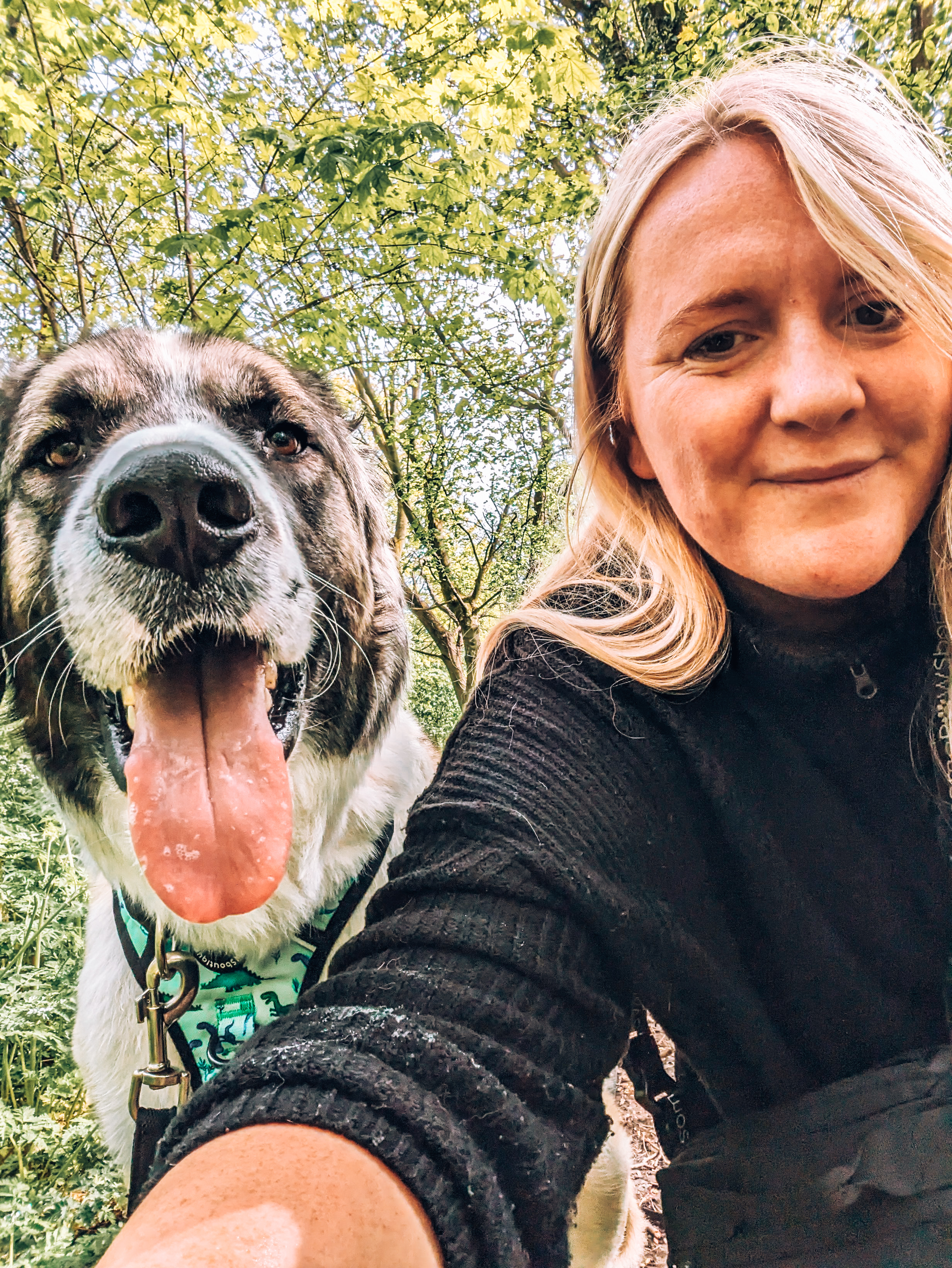 @rokithegiantrescuepuppy