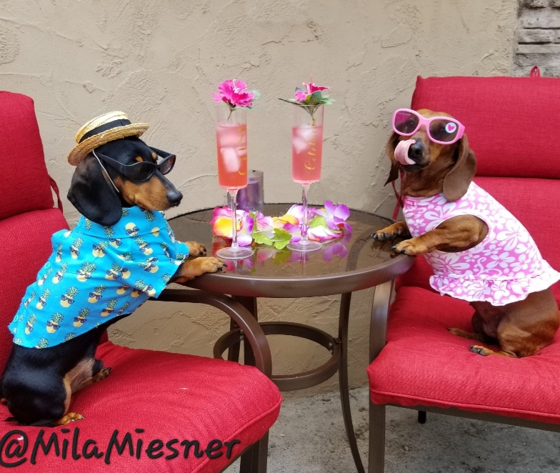 @milamiesner
