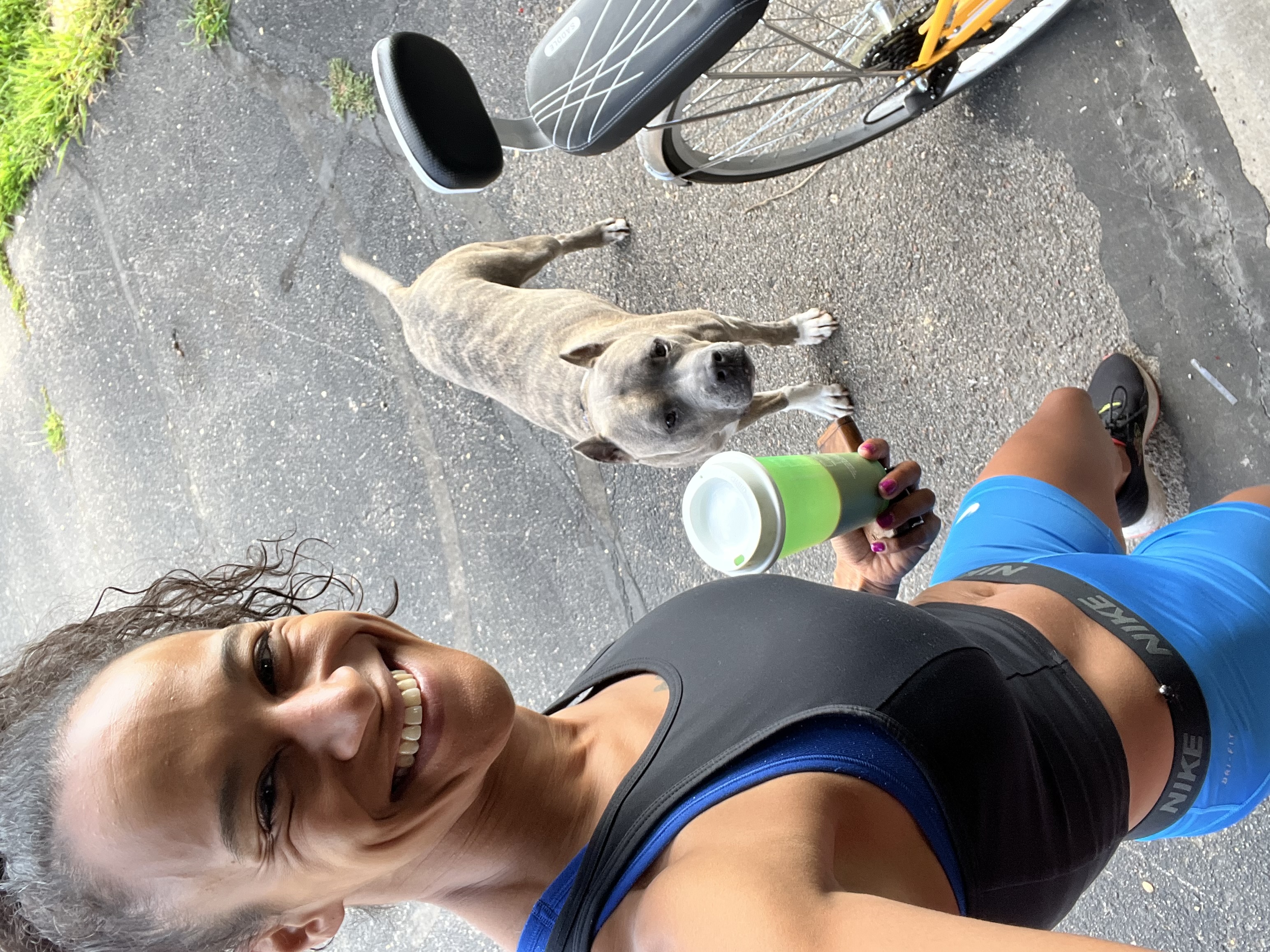 @sailorjerrithedogtrainer