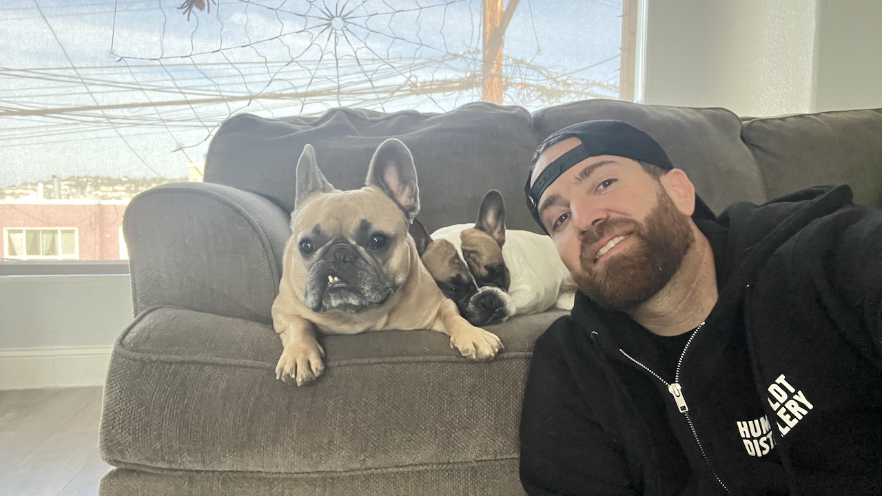 @somefrenchienamedapollo