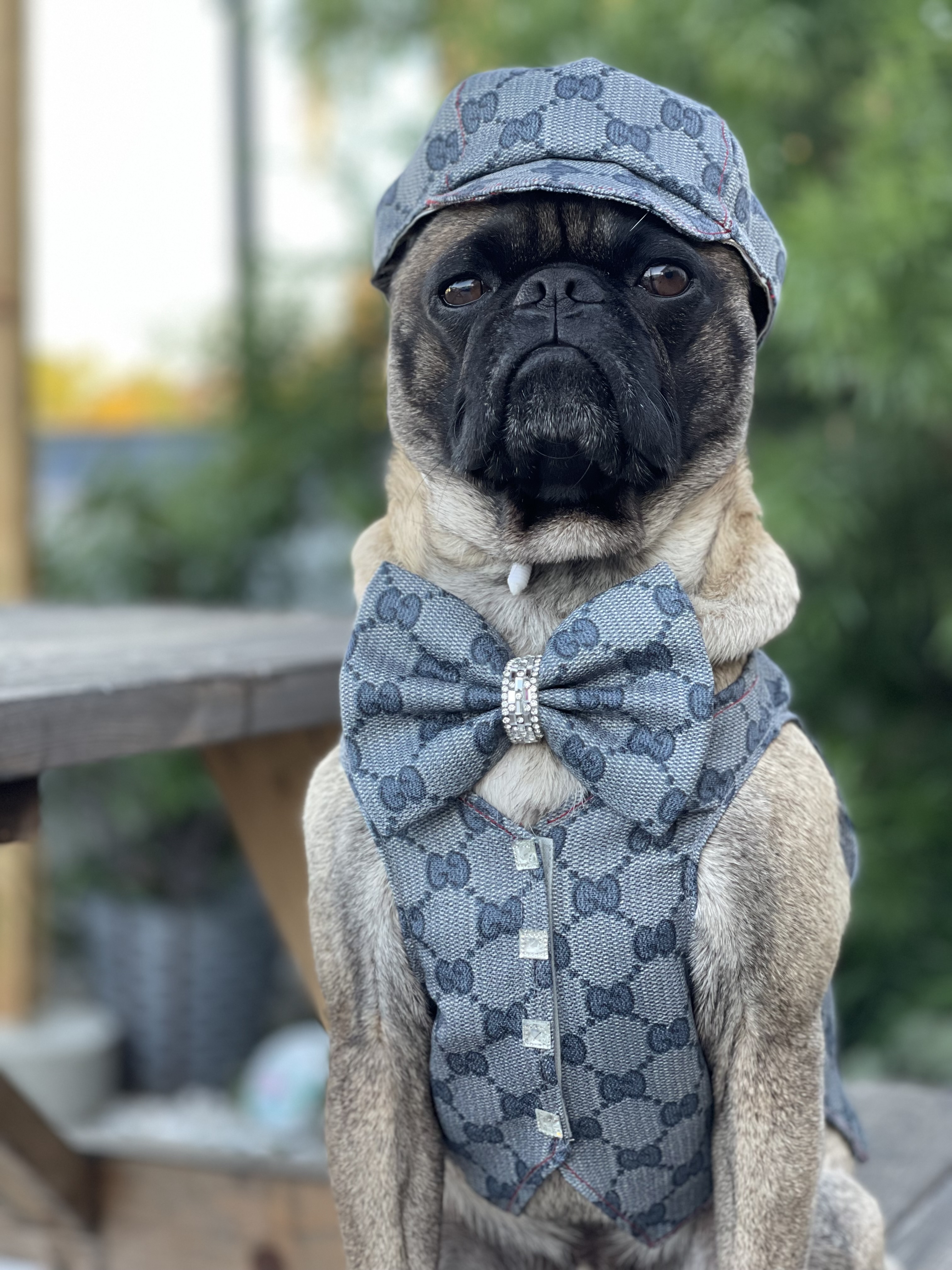 @haroldpug-life