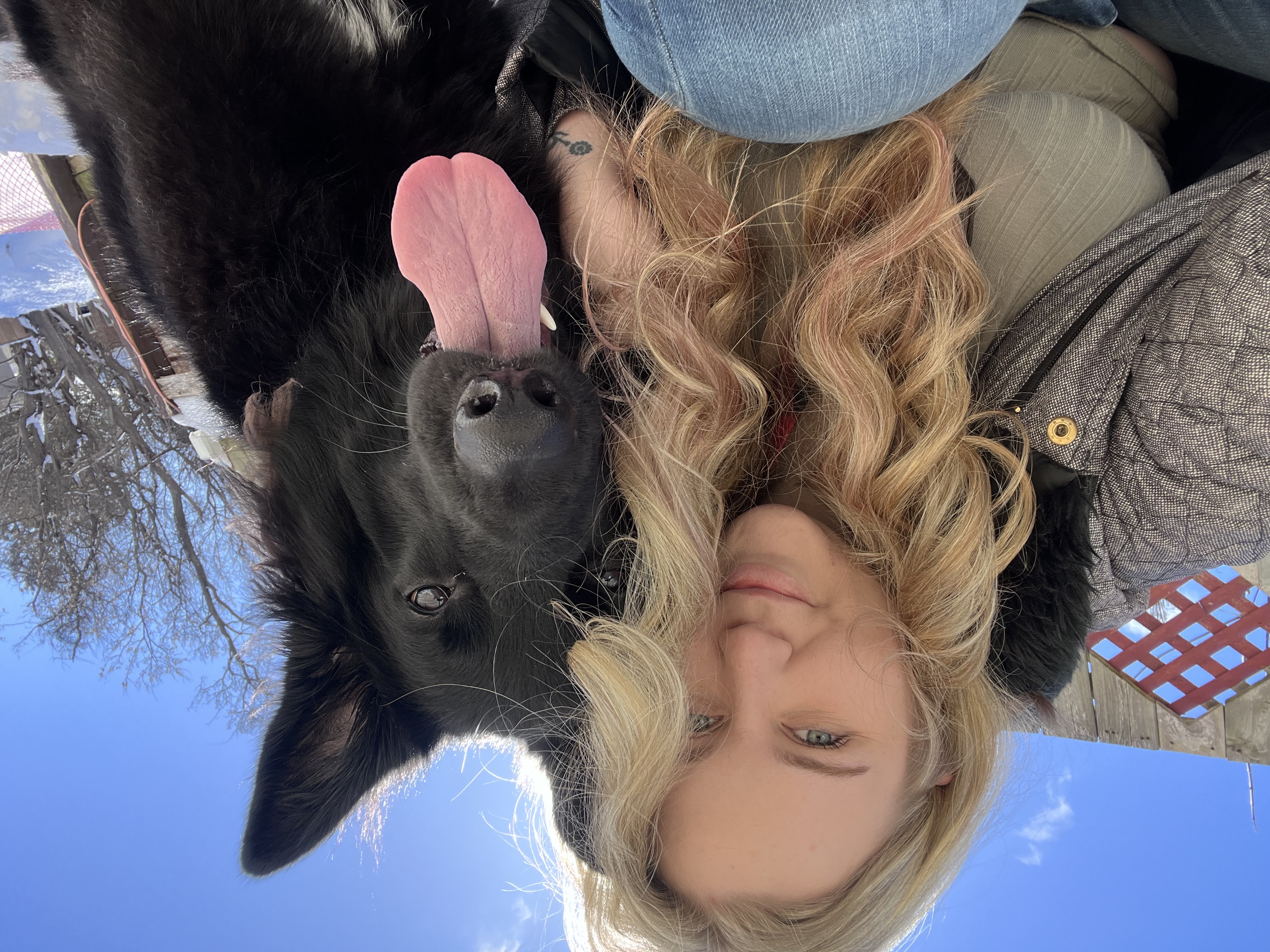 @tuitheblackgsd