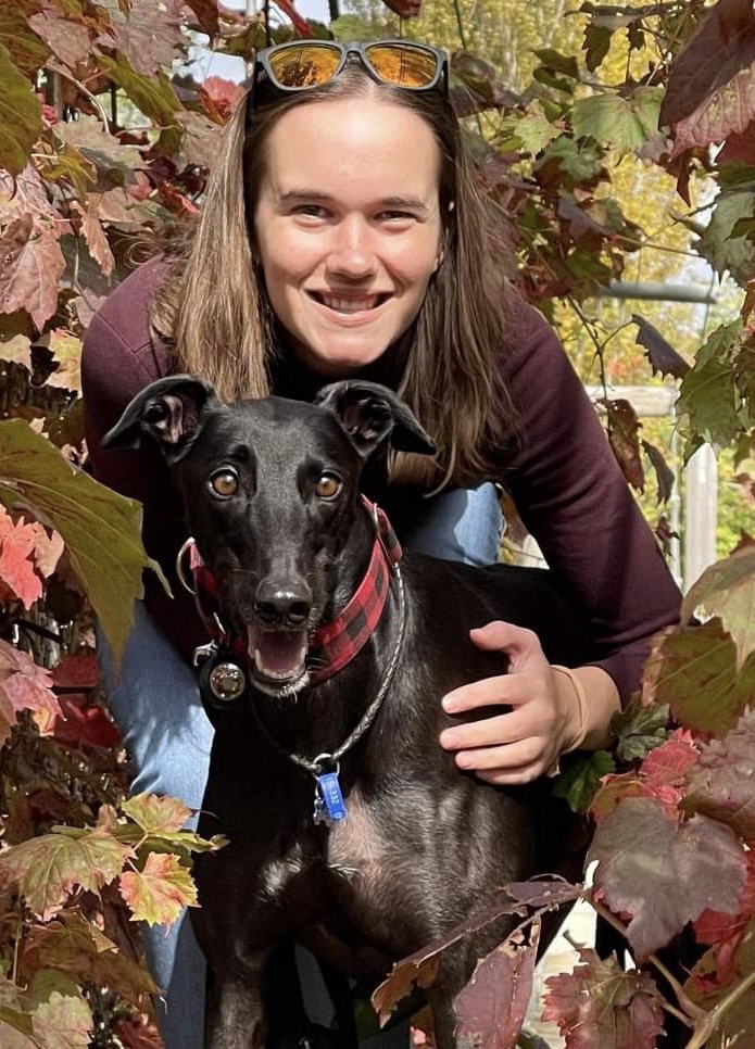 @jayce-the-greyhound