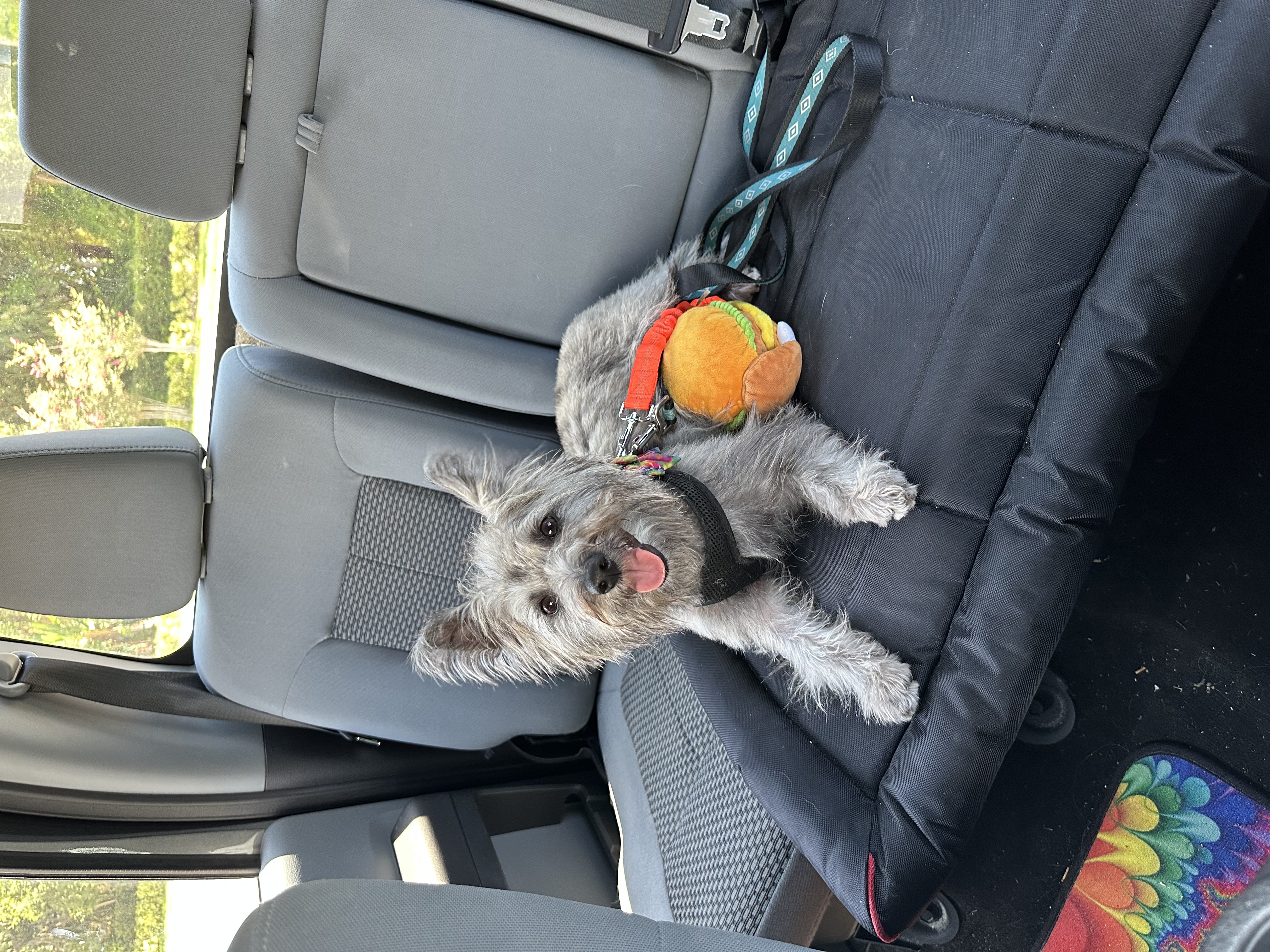 @life-with-maggiesunshine