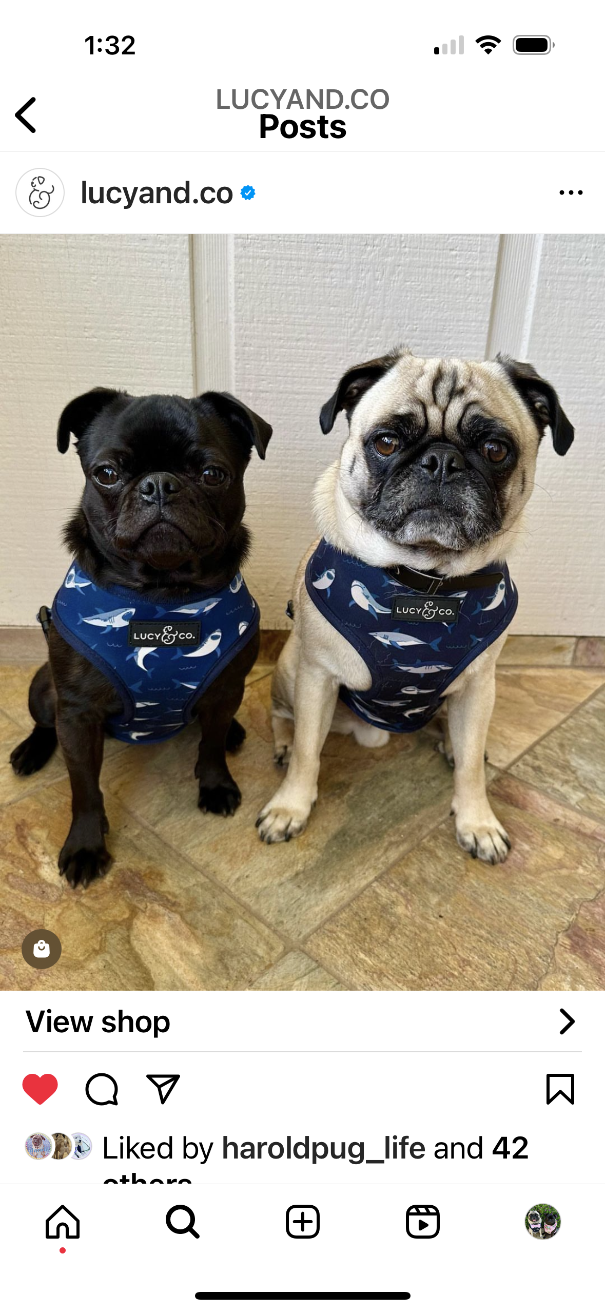 @milocarlthepug