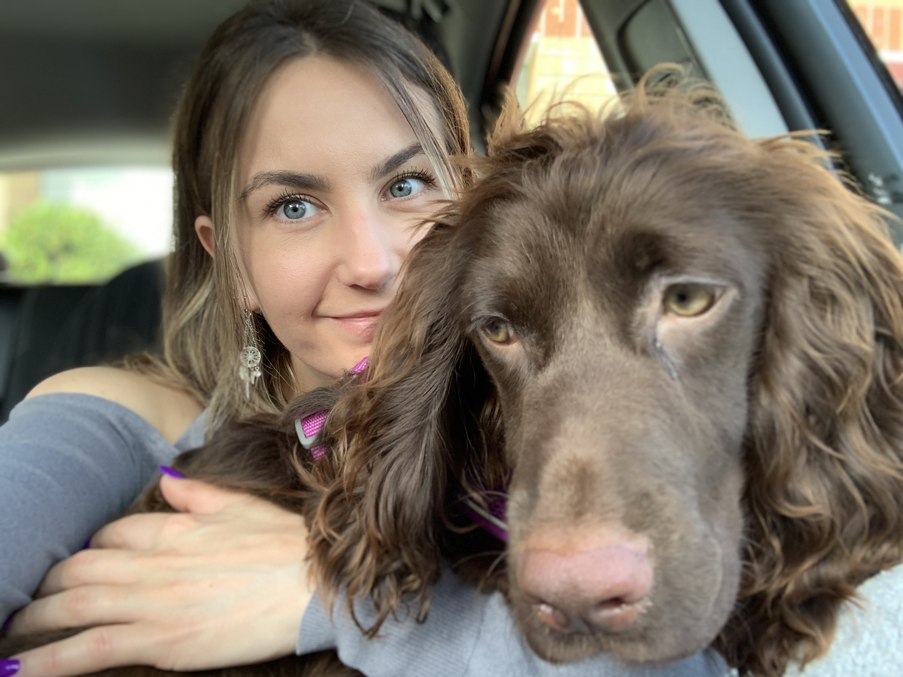 @cali-the-cocker-spaniel