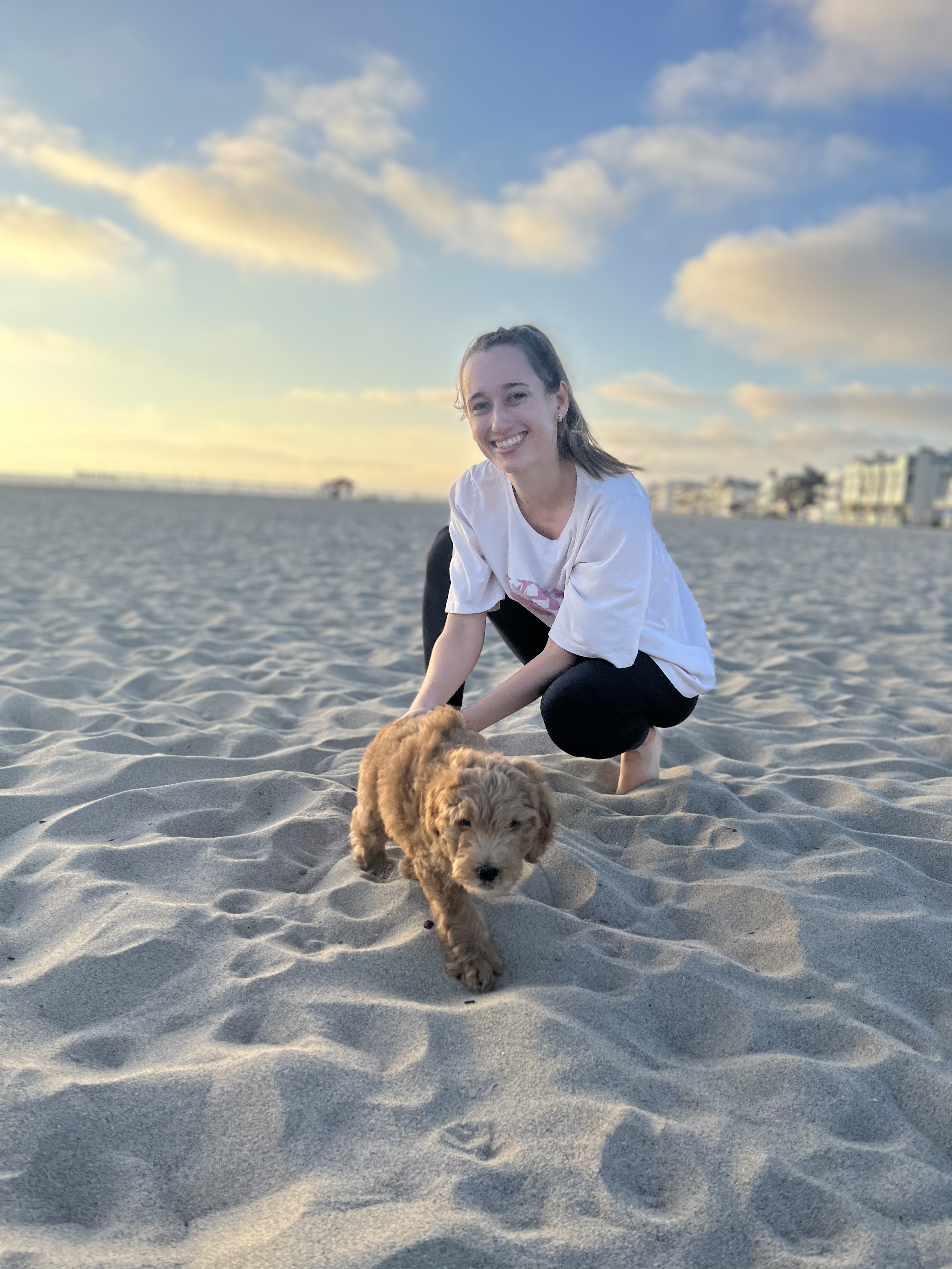 @chairhegoldendoodle