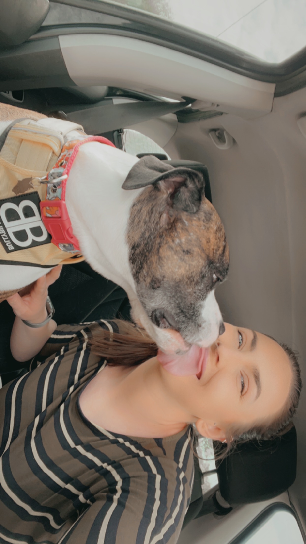 @billybootherescuedog-1