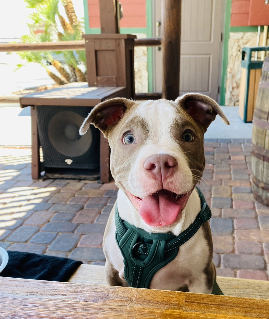 @wwwtiktokcompaolaraay