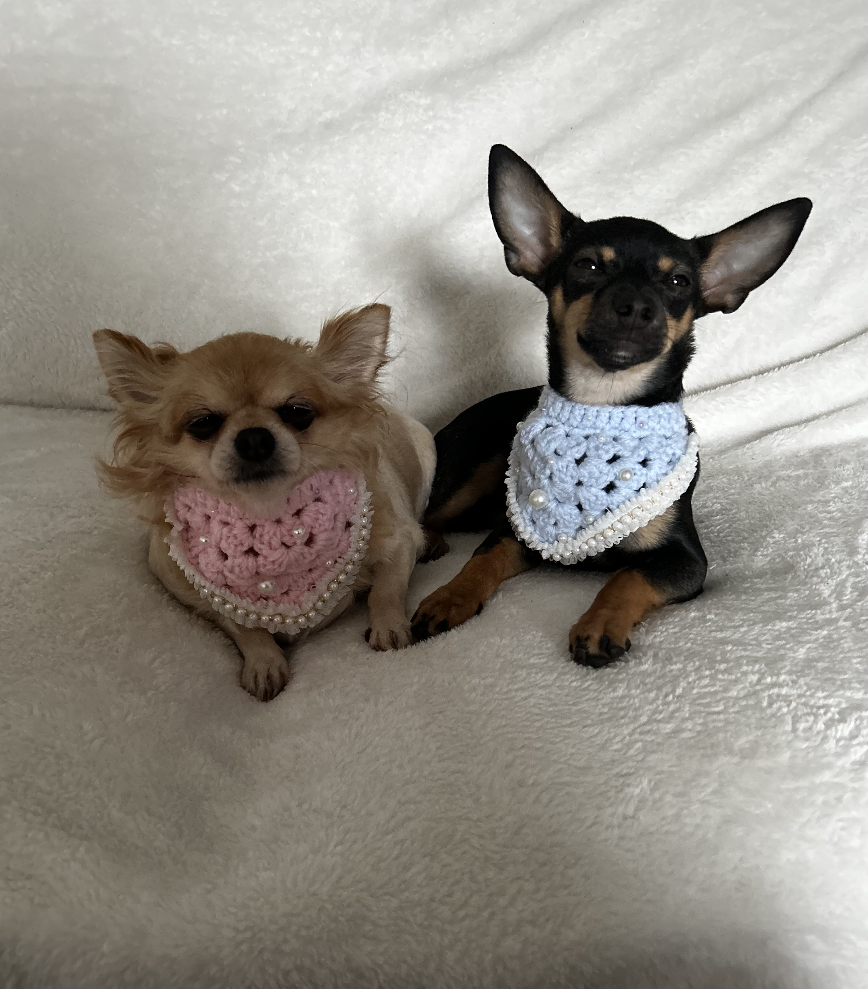 @winterandsummer-thechimodels