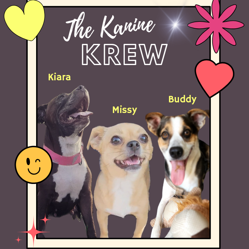 @thekaninekrew