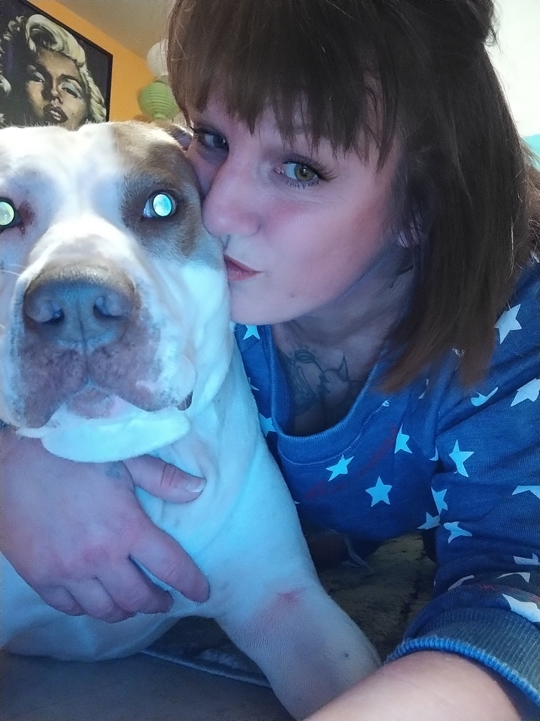 @pawsitivelydicetastic