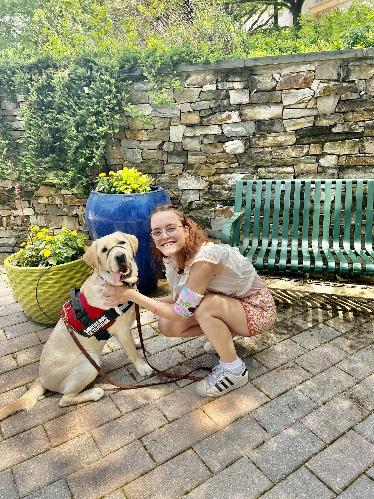 @baxtertheservicedog