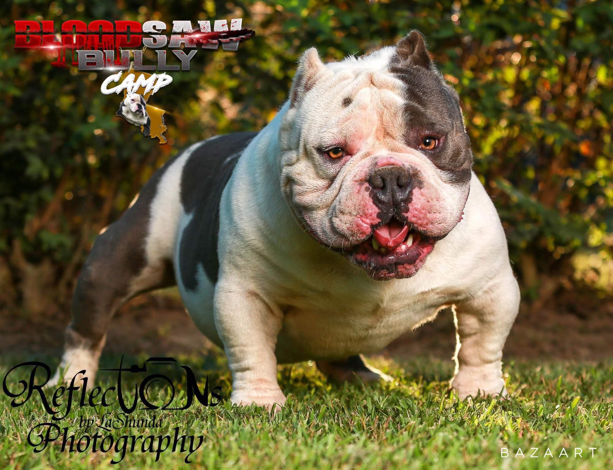 @bloodsaw-bully-camp