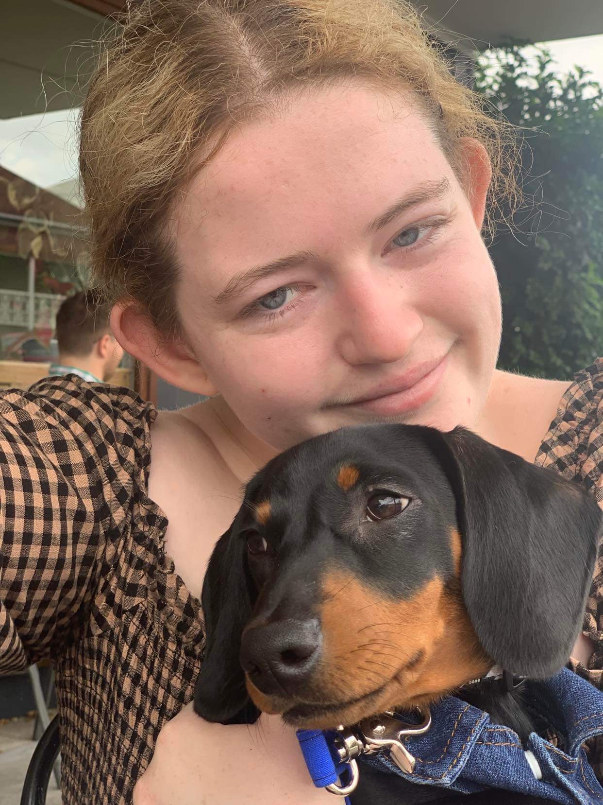 @long-hounds-stellaloki-1