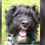 @reactivity-andmonty