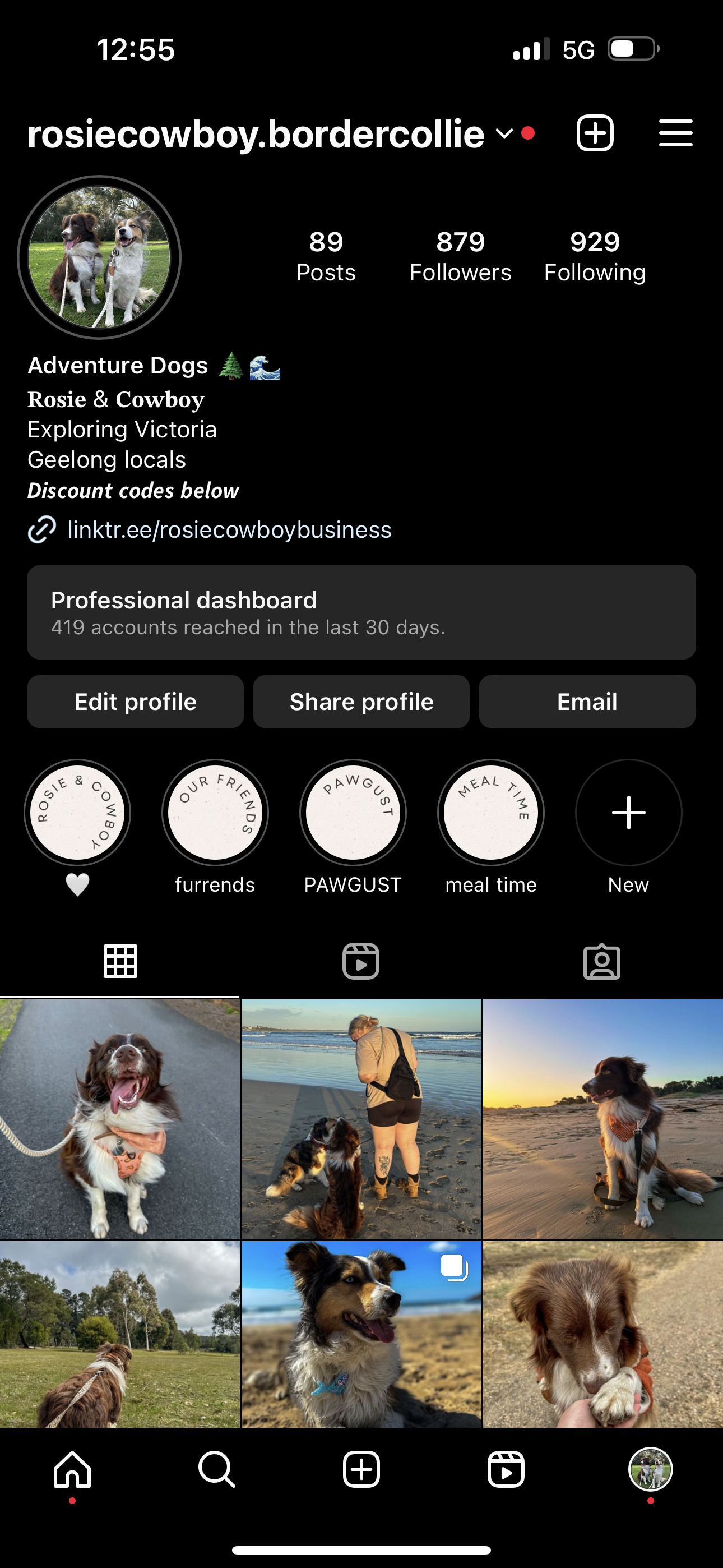 @rosiecowboybordercollie