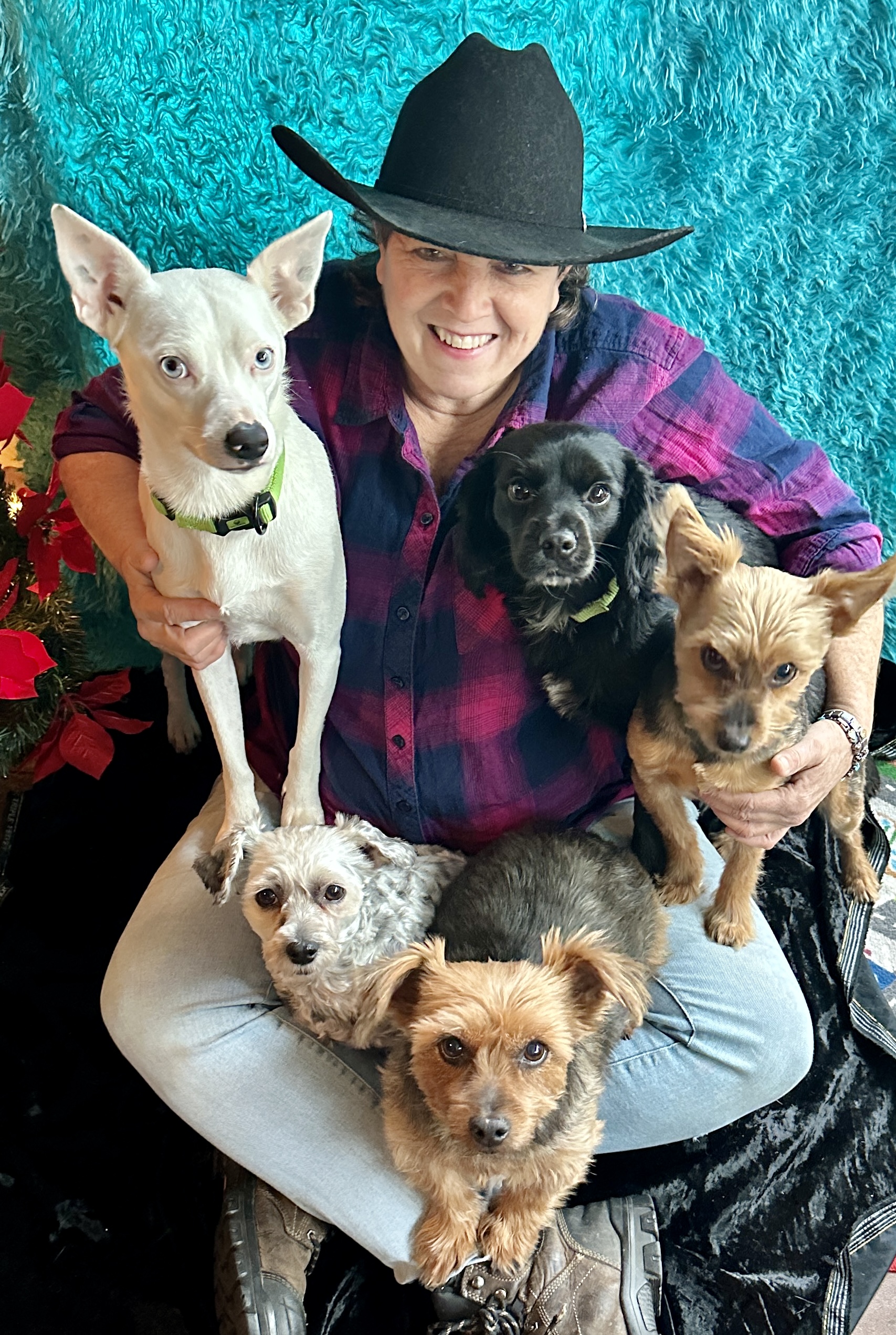 @yogithesmilingyorkie