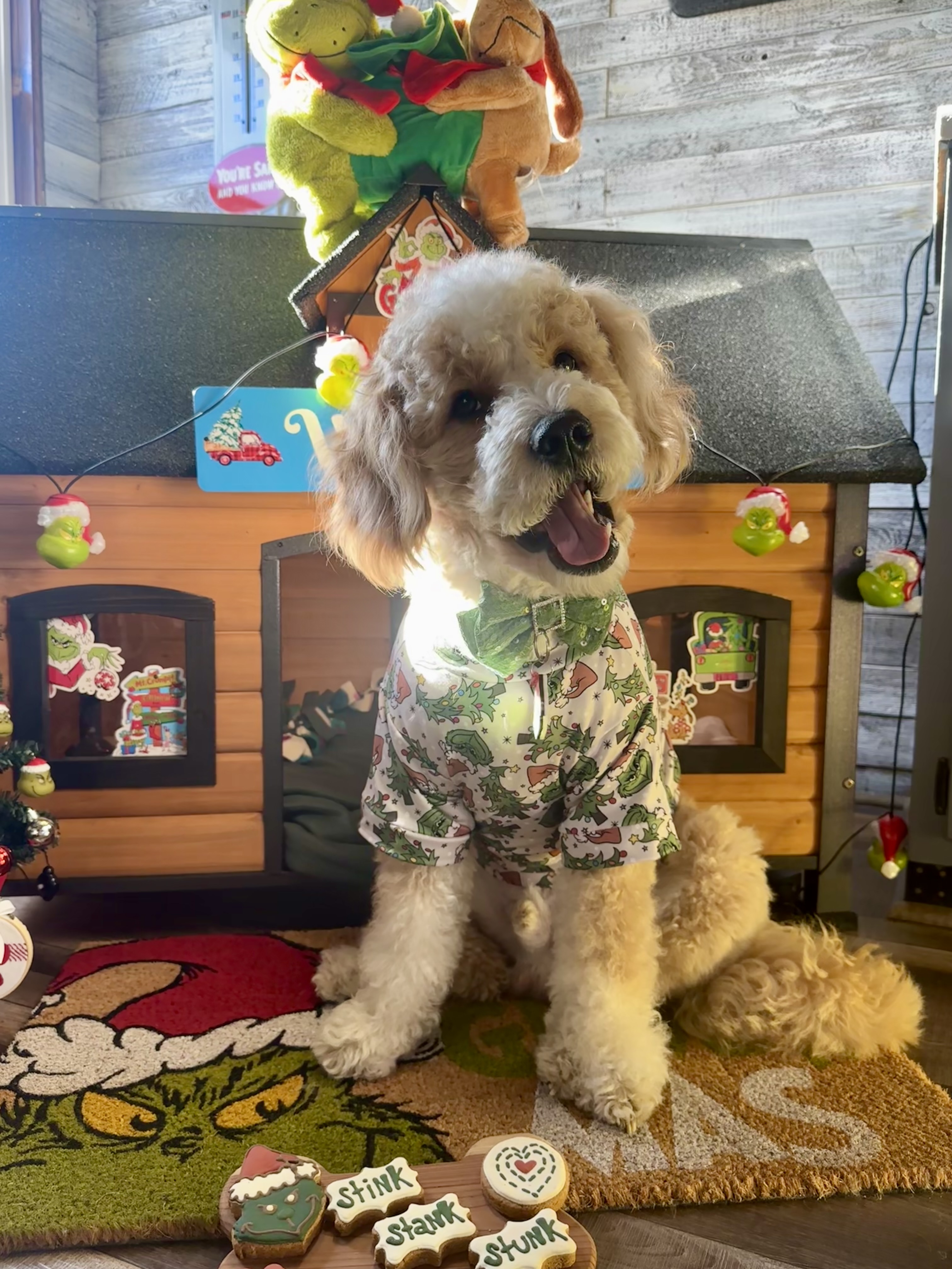 @waylontheminigoldendoodle