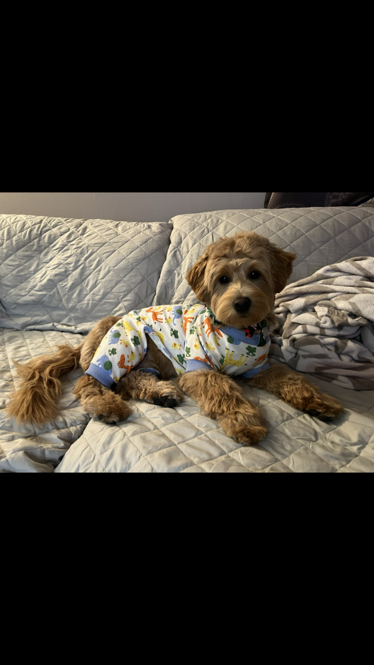 @thenrichs-at-instagramcom