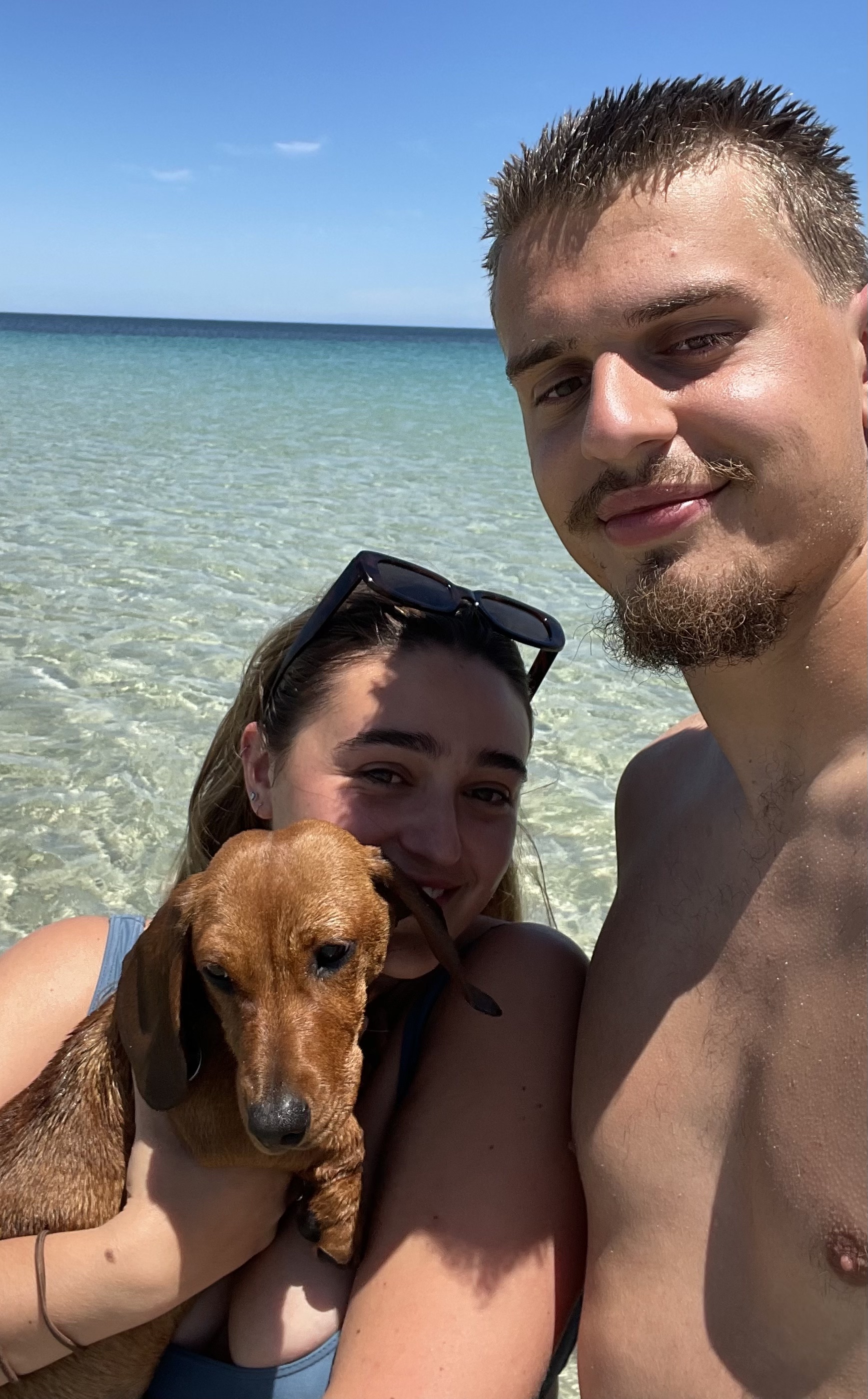 @dudleytheminidachshund