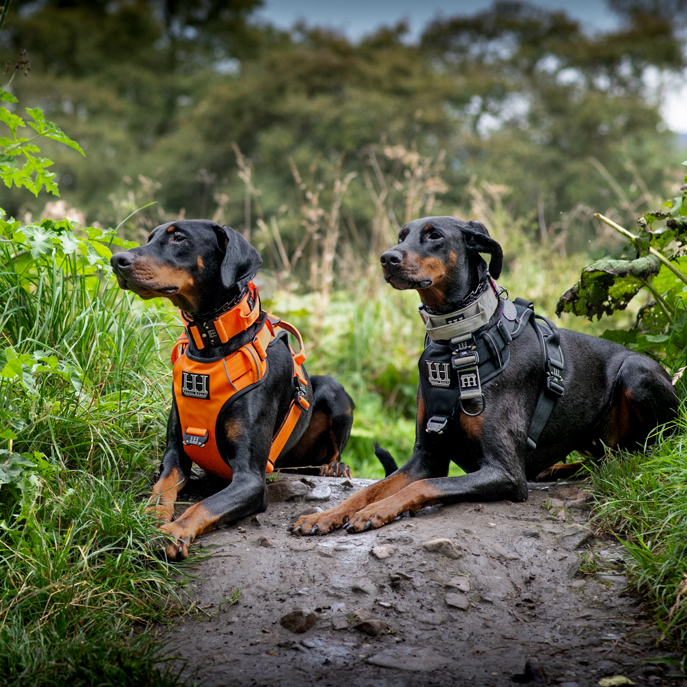 @pandora-and-nuke-duo-dobes