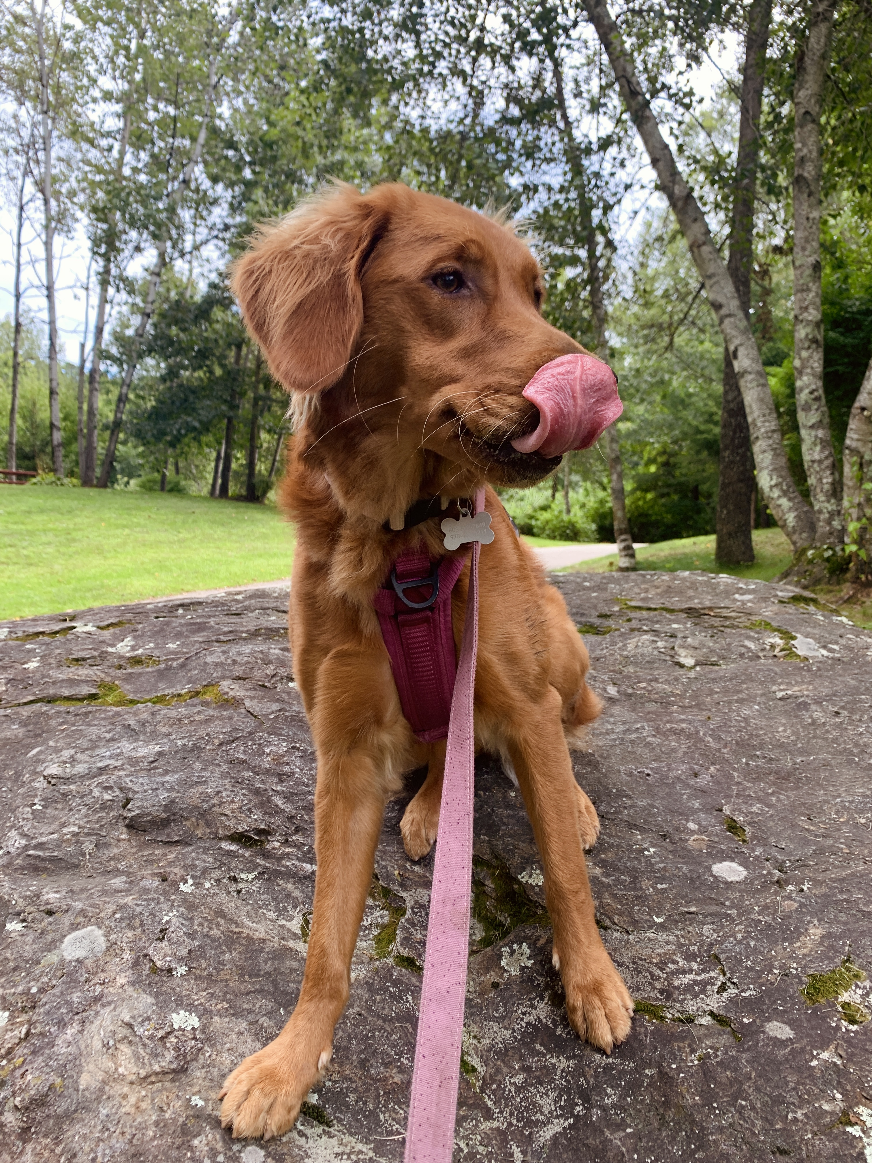 @smileyrileythegolden