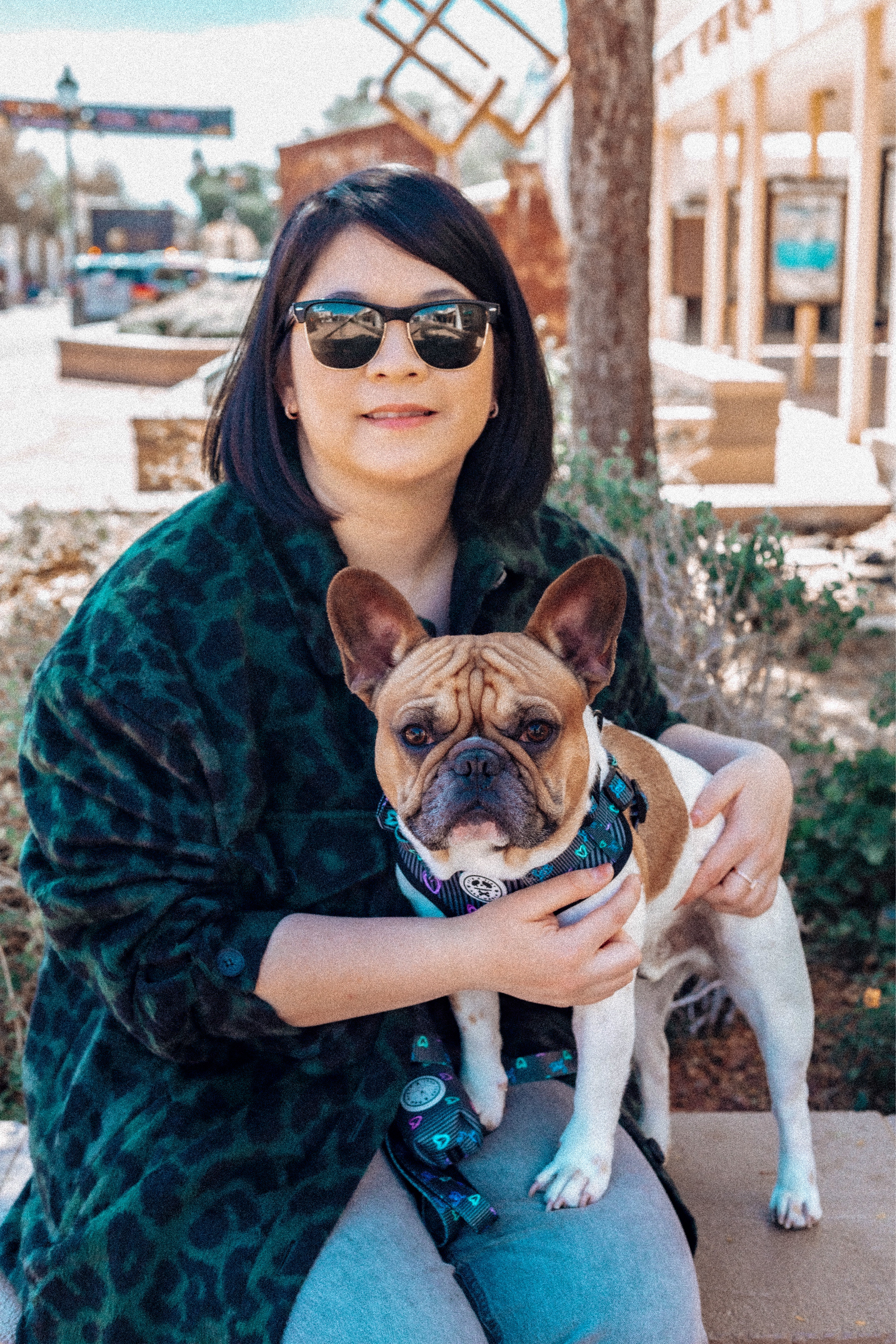 @midas-frenchie-gold