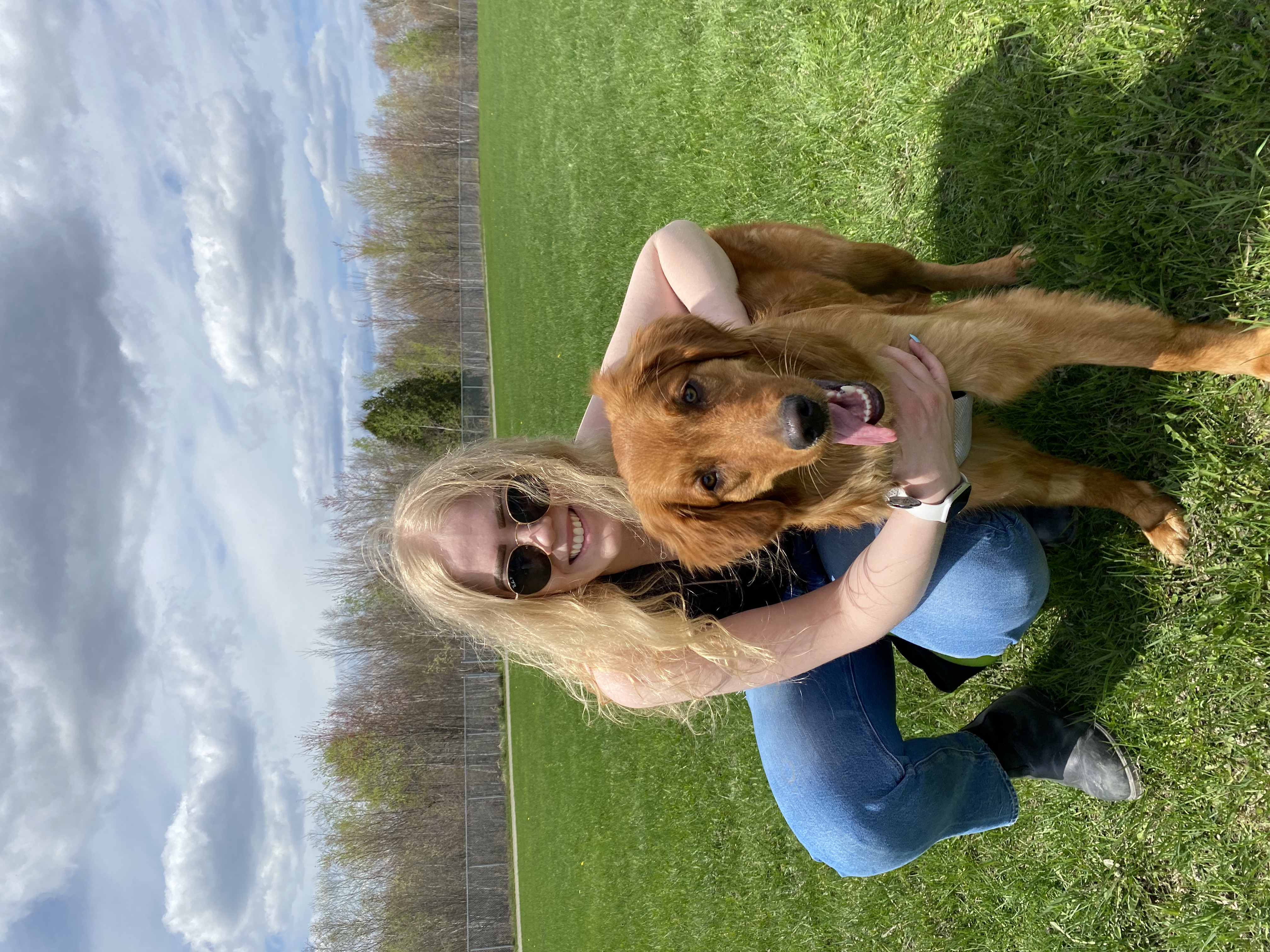 @baileytheredretriever