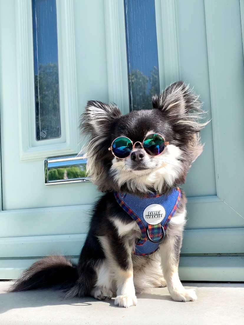 @at-justmessin-withcedric