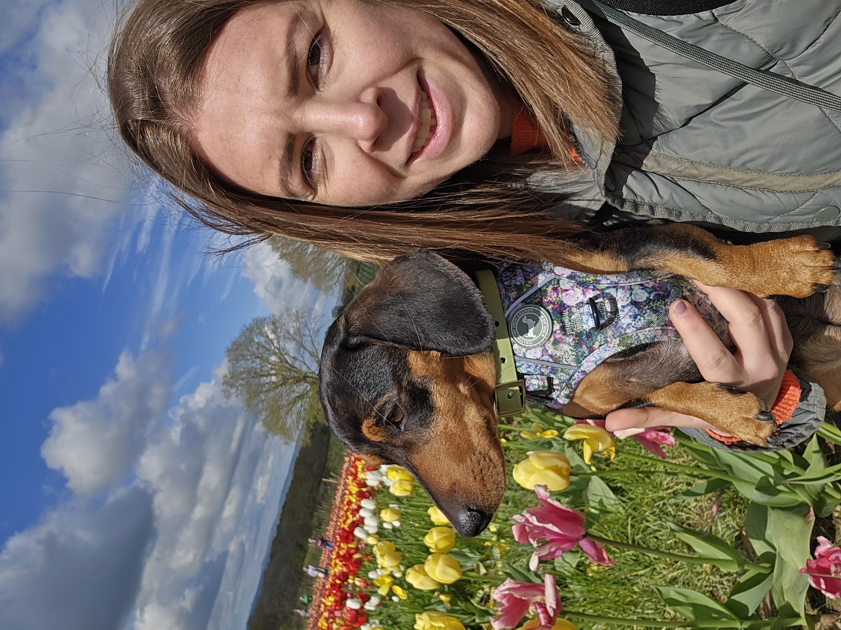 @oskarthedappledachshund