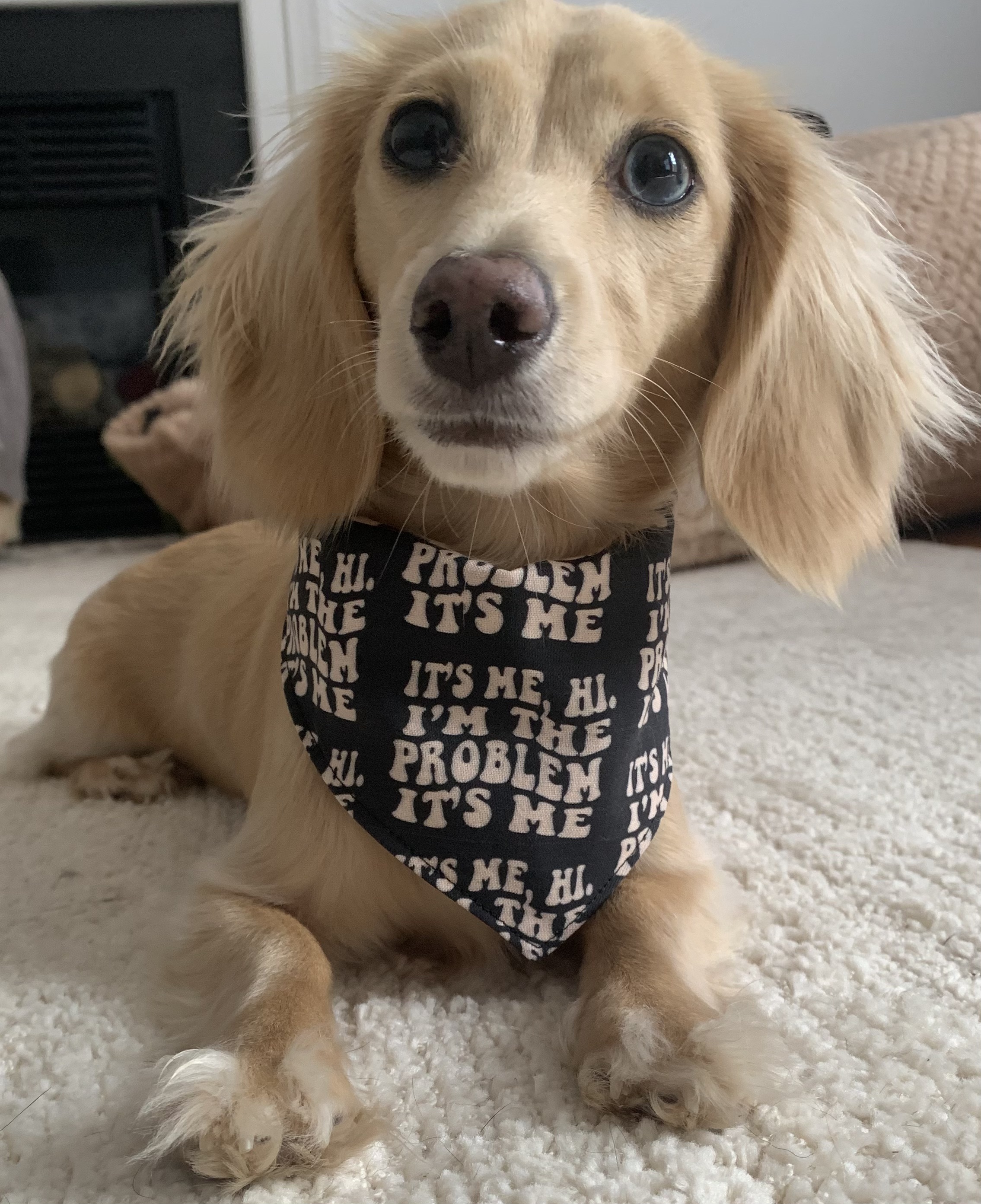 @zippin-the-wrong-way